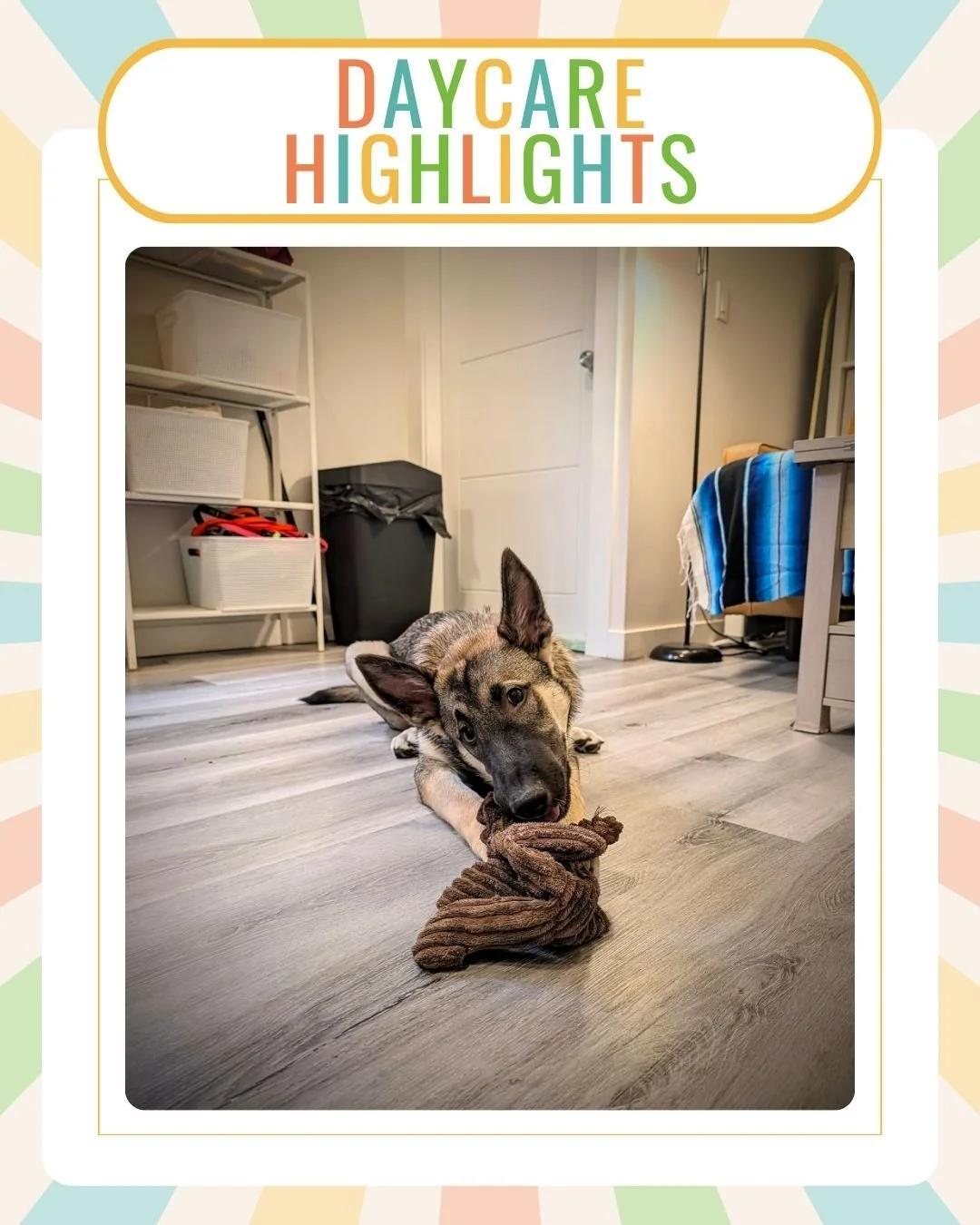 ❤️️

.
.
.

#surrey #SurreyBC #surreydogs #dogsofsurrey #surreydogdaycare #surreydogsitting #surreypetsitting #surreypetcare #surreypetservices #langley #LangleyBC #langleydogs #dogsoflangley #langleydogdaycare #langleydogsitting #langleypetsitting #