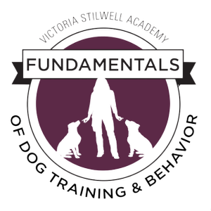 About Us Puppy Dog Training, Dog Boarding, Dog Daycare Pet