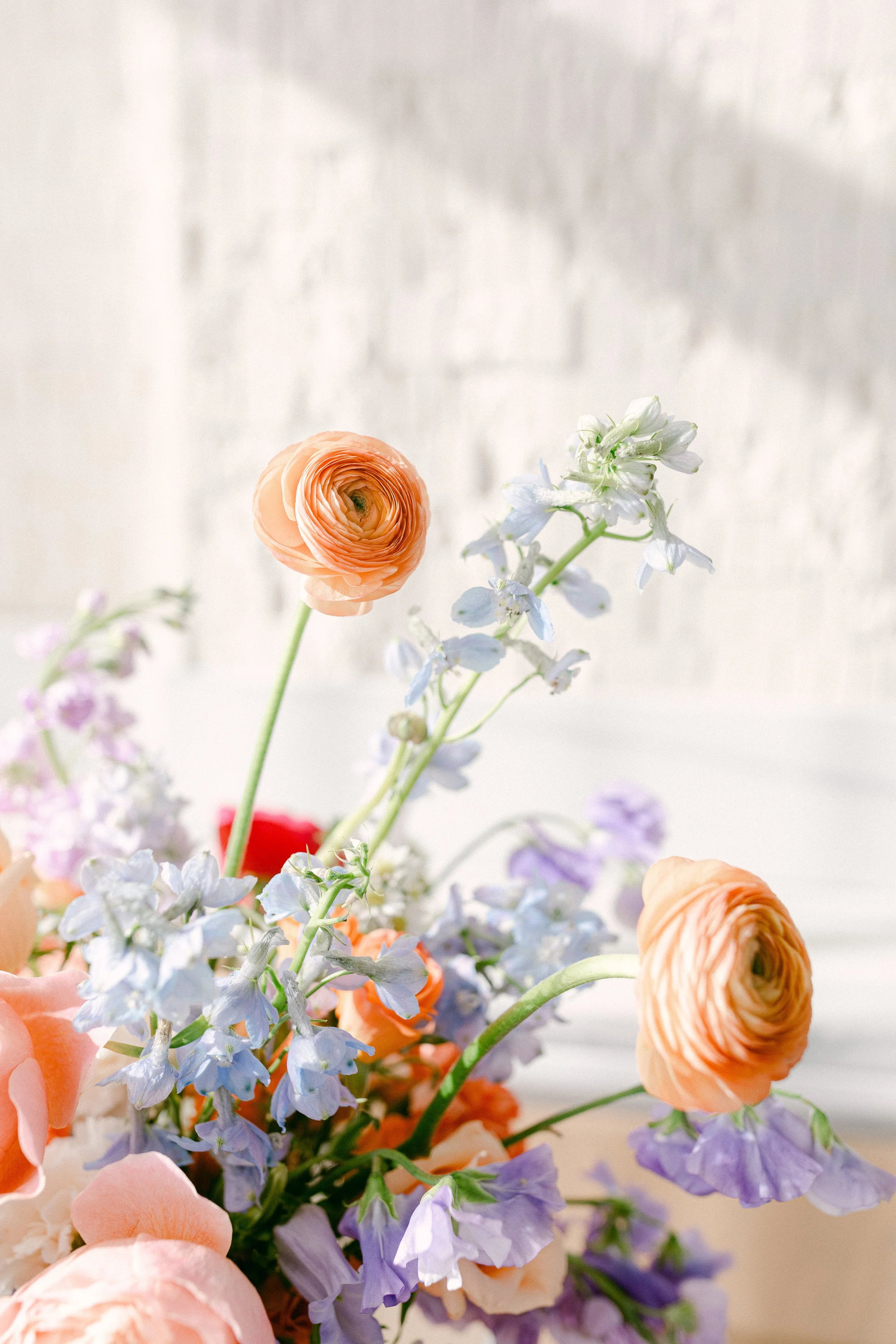 01-13-2025-styledshoot-wegmanevents-ohmissmeghan-36.jpg