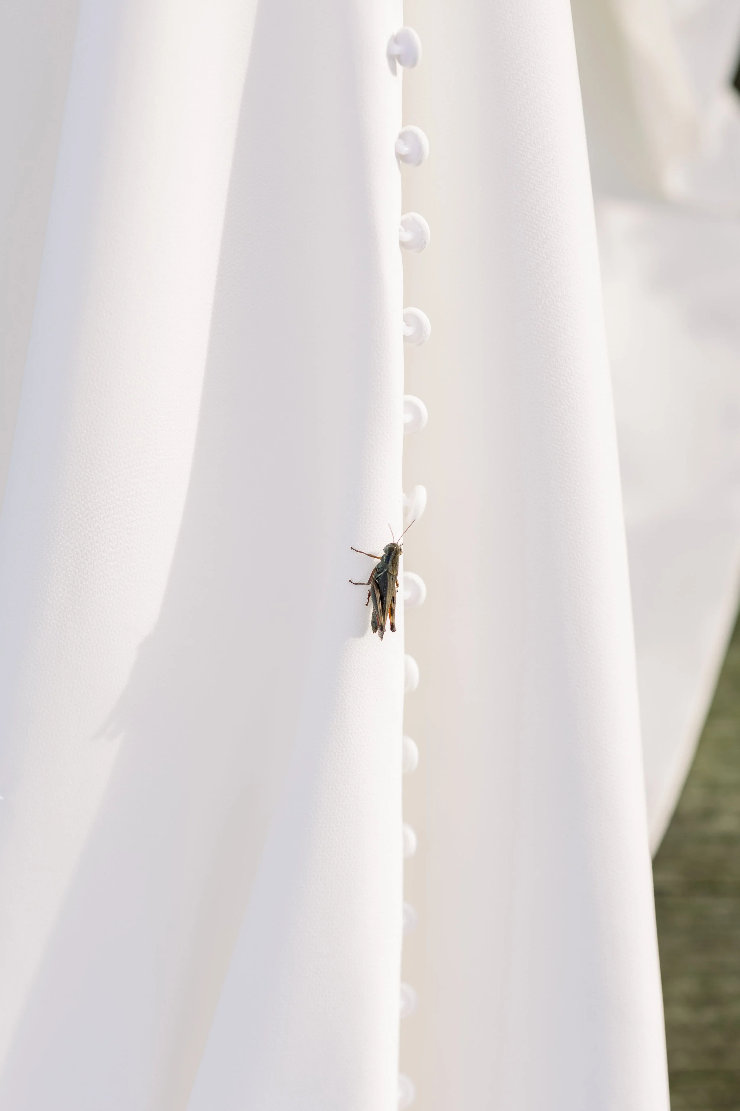 QALP-581.jpg