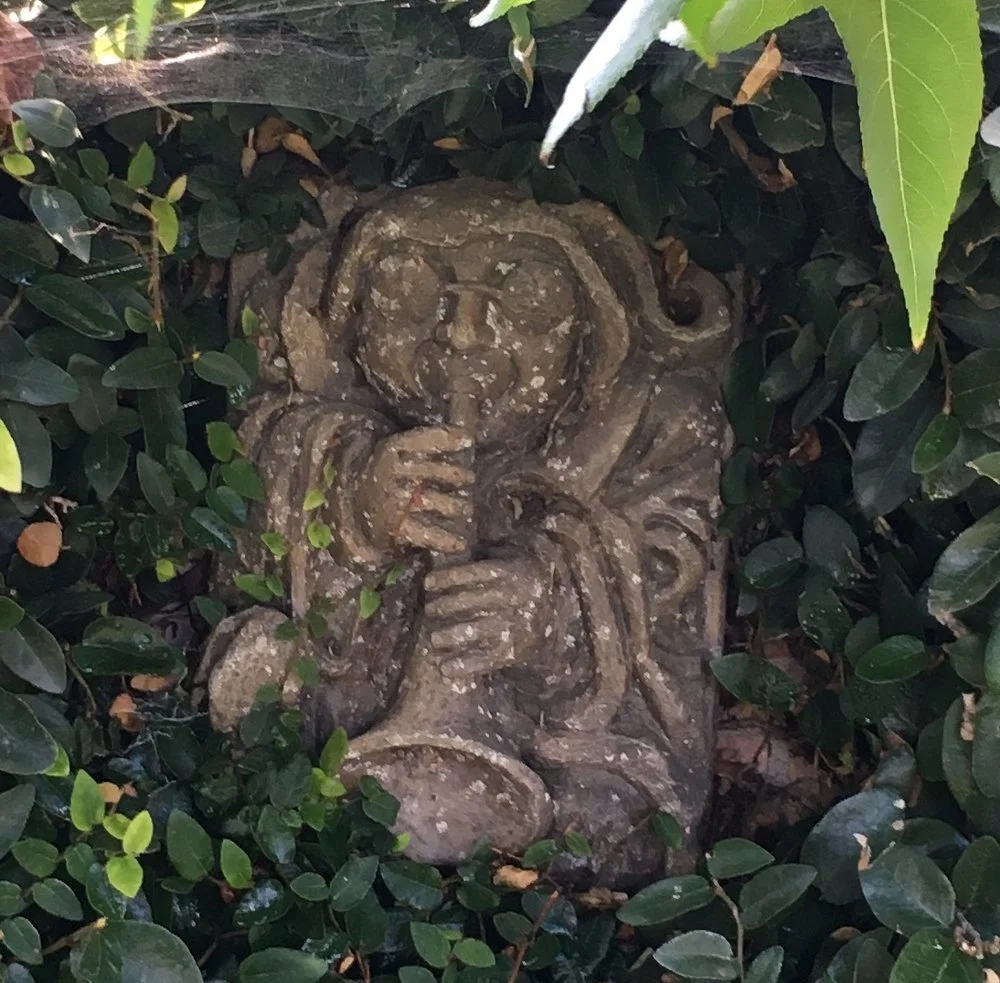 Garden Monk
