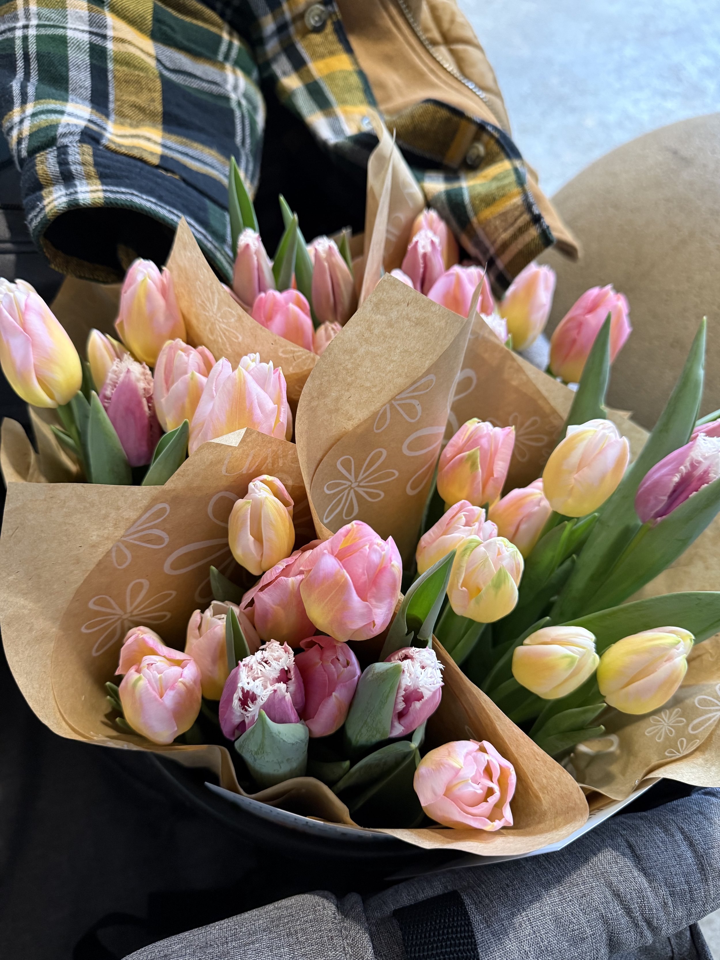 2026 Winter Tulip Subscription (On farm pick up)