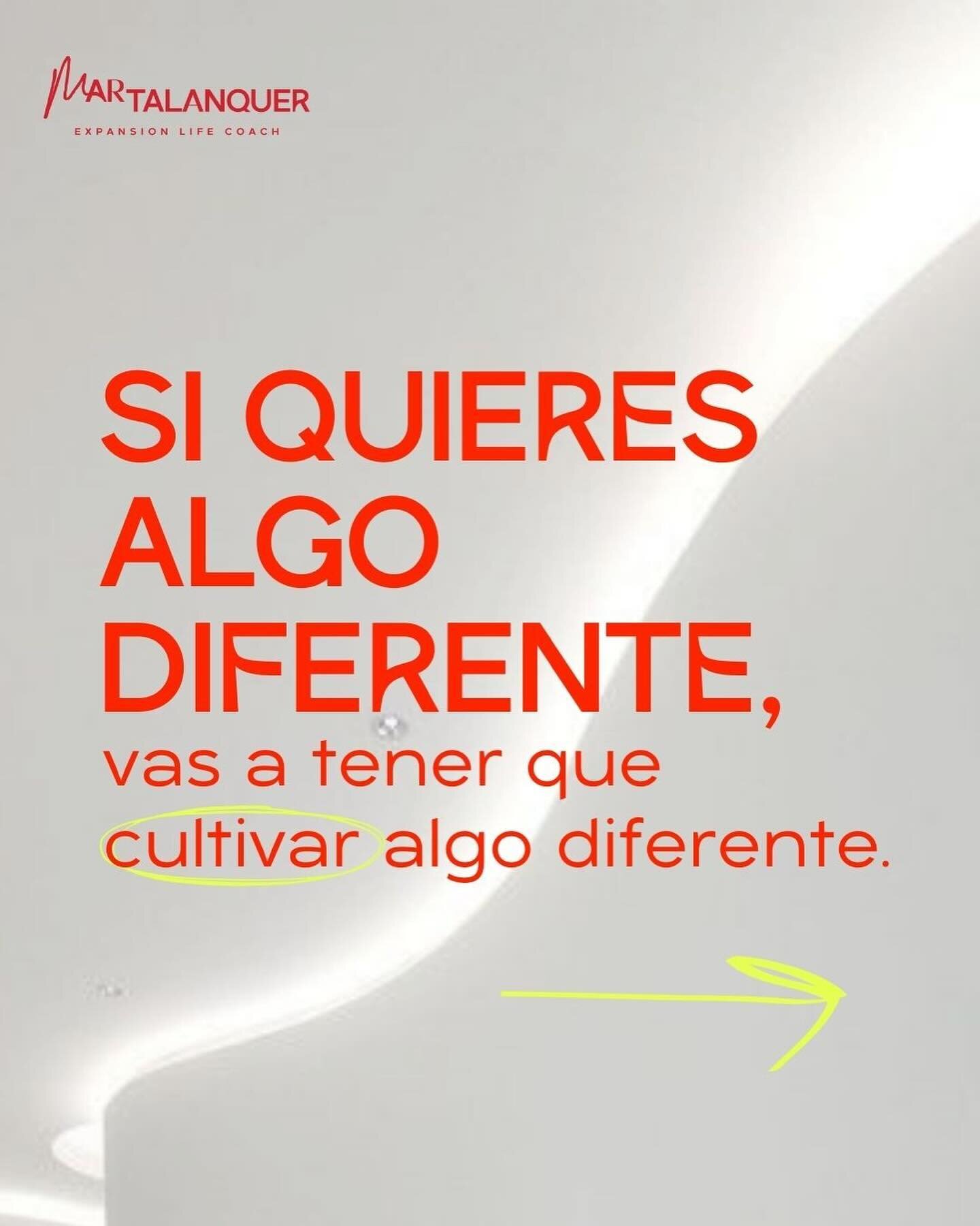 Gracias a las mujeres valientes que eligieron este camino, este espacio y por regalarse 3 semanas para ser MAESTRAS DE SU ENERG&Iacute;A en la 3a edici&oacute;n de ⚡️FUERZA VITAL⚡️.

Conf&iacute;o que ya tienen los &ldquo;h&aacute;bitos&rdquo;, la pr