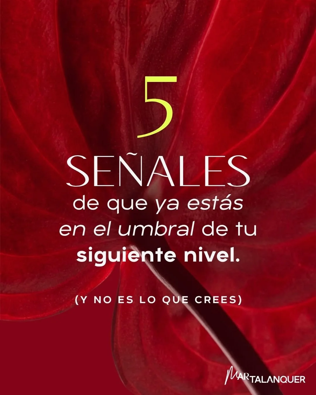 Hay un momento en el camino de cualquier mujer que ya logr&oacute; mucho donde el problema deja de ser externo.
Ya no es falta de capacidad. Ya no es falta de recursos. Ya no es falta de estrategia.
Es que la identidad que construiste ya no puede sos