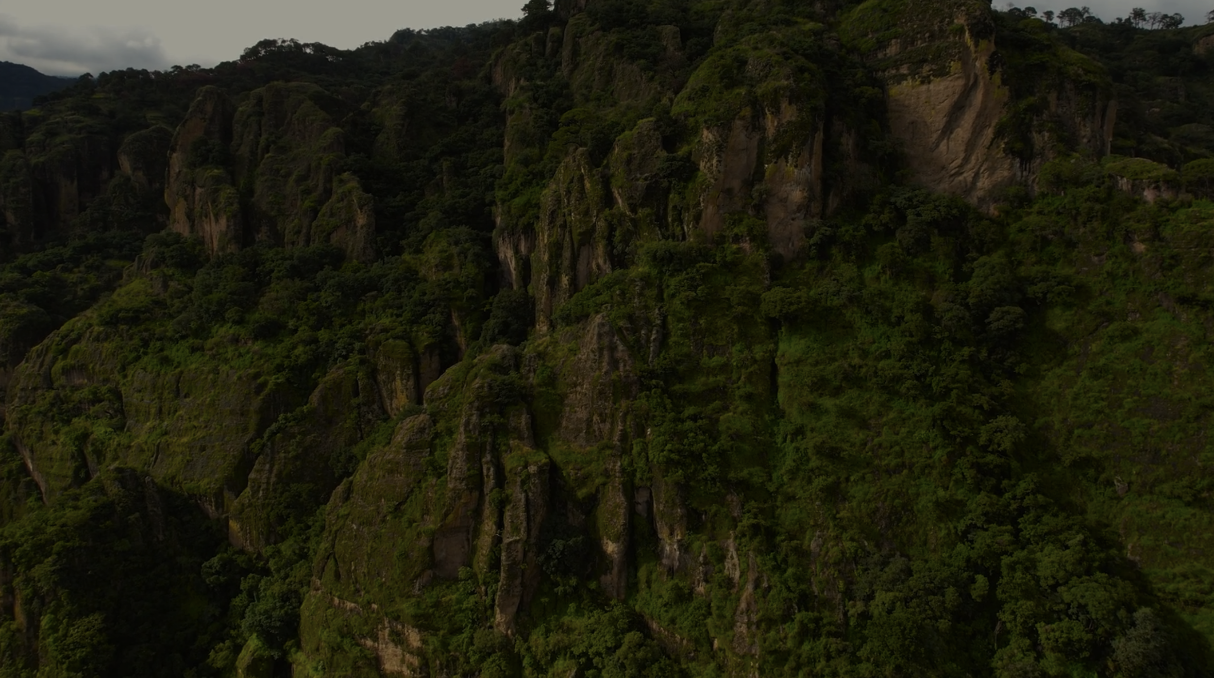 Captura de pantalla 2025-11-27 a la(s) 1.56.00 p.m..png