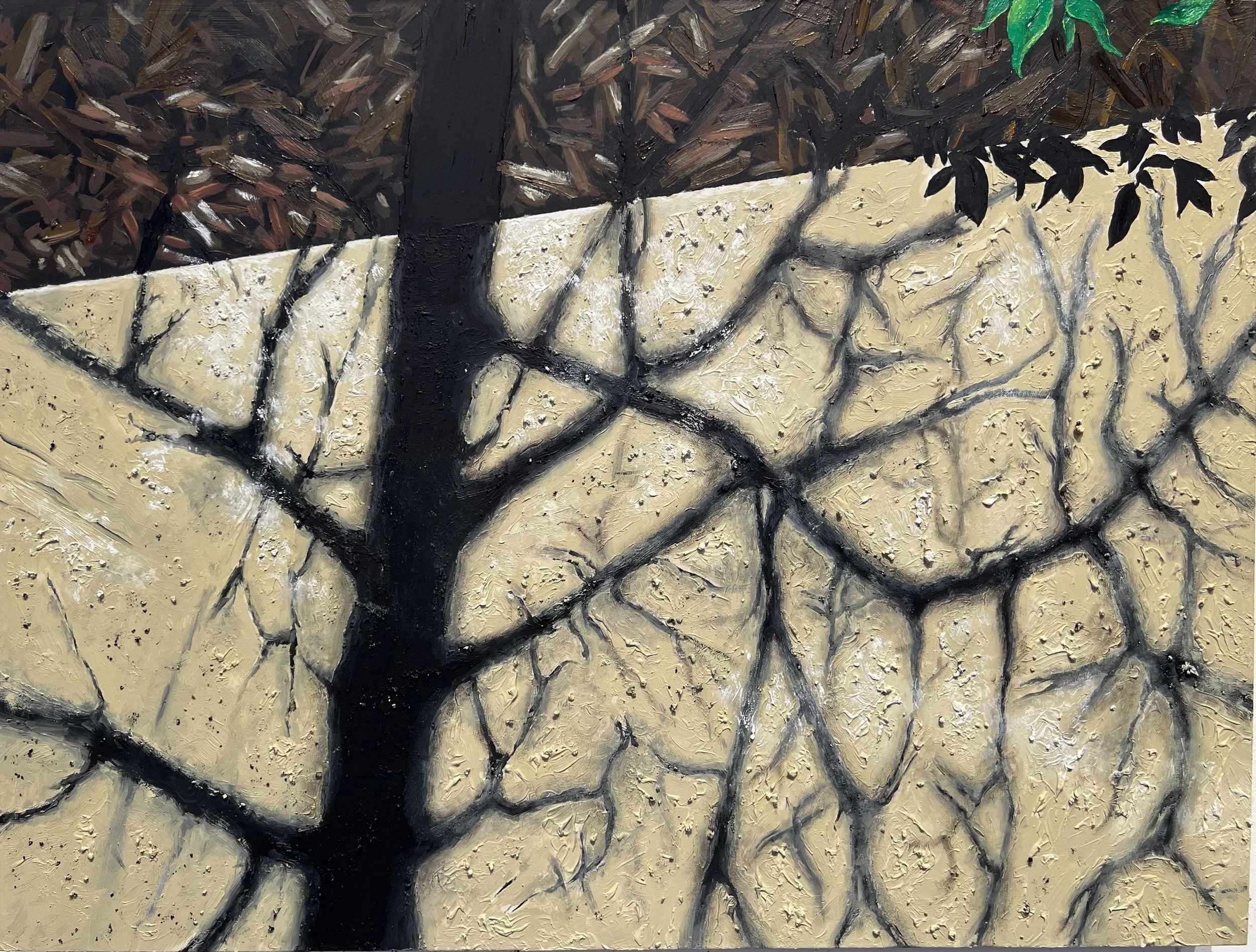 Cast Shadows on Driveway 18" x 24" (oil on canvas).