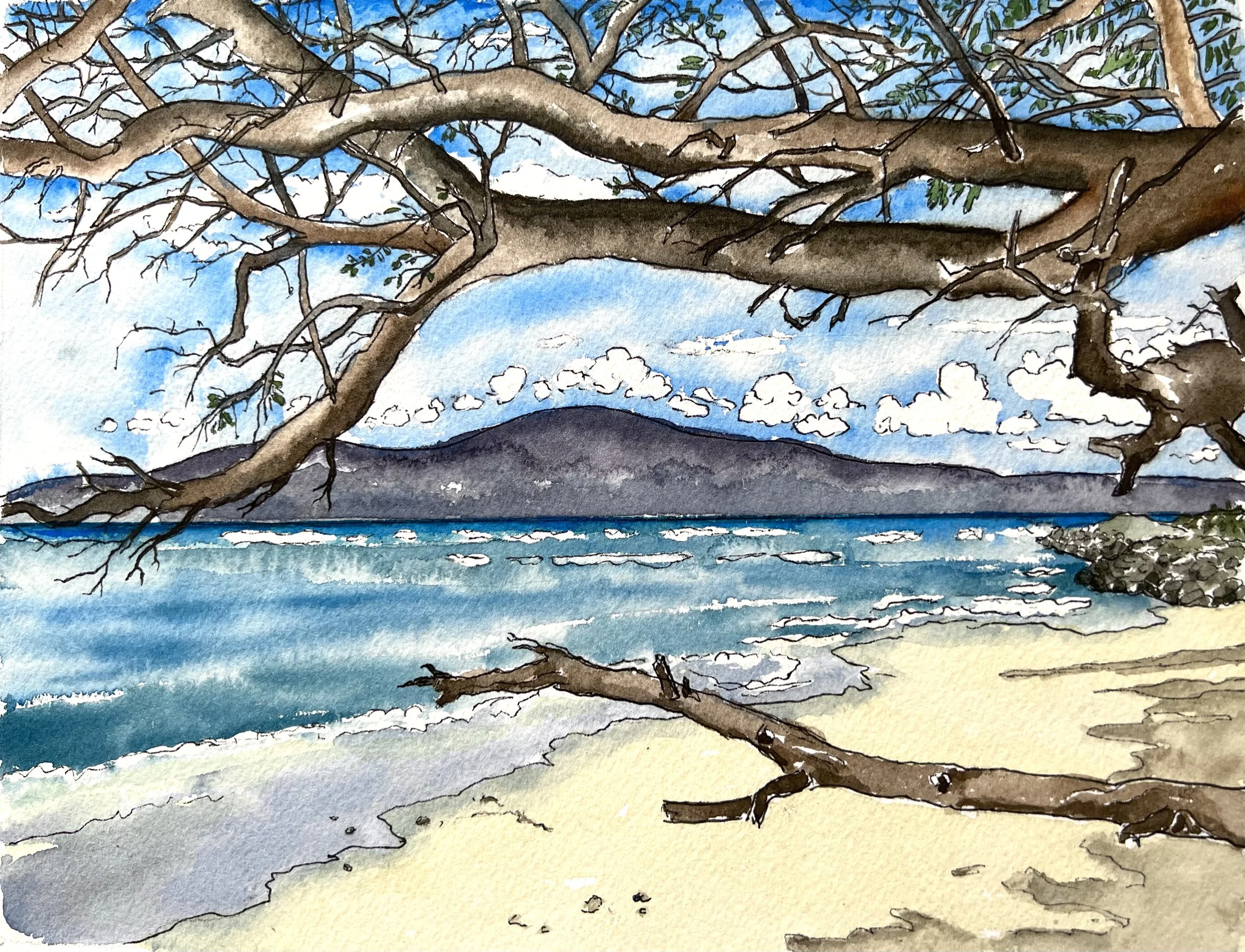 Sketches-Maui Beach 7 1/2" x 8" (watercolor & pen) & ink) 