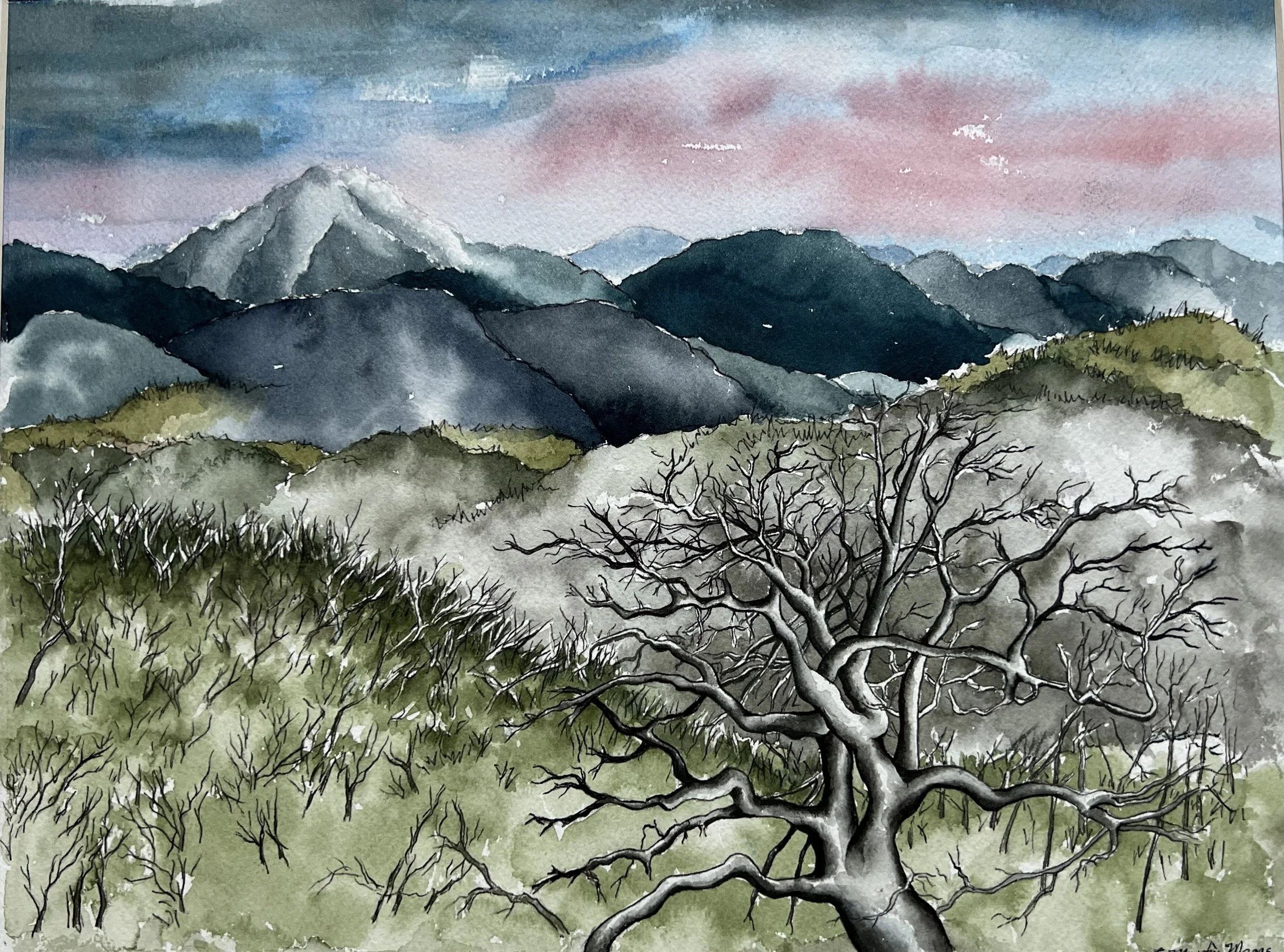 Sketches-Boone in the Winter
7 1/2" x 8" (watercolor & pen) & ink) 