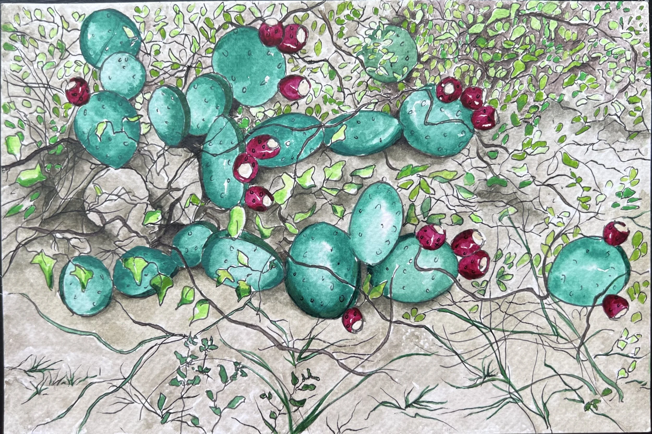 Sketches- Cacti at Sands Villas (watercolor & pen) & ink) 