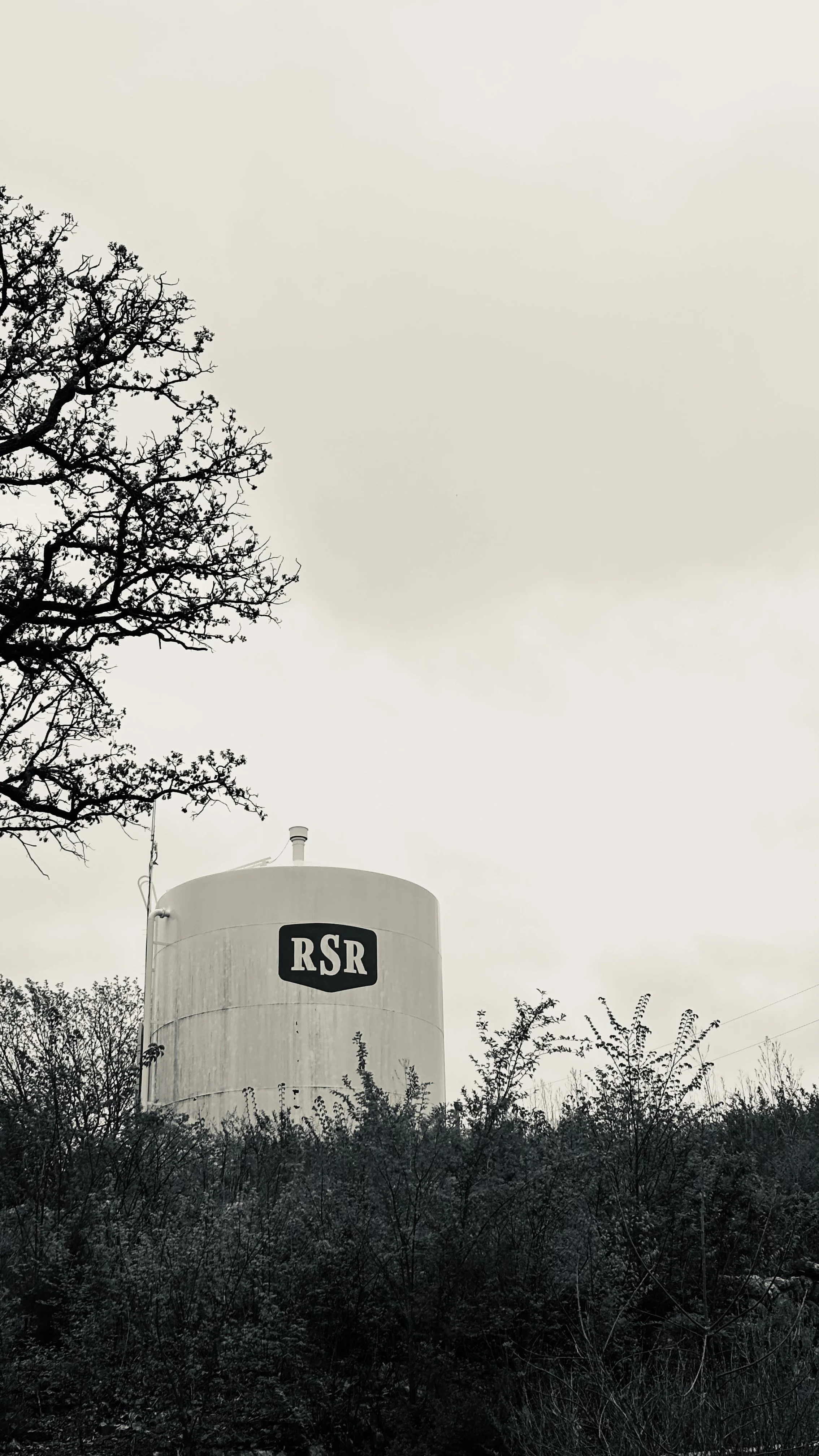 IMG_6086.jpeg