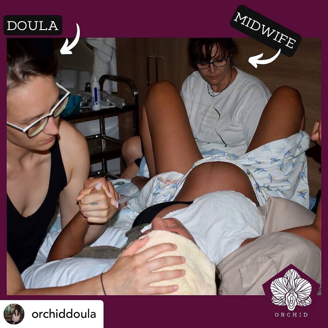 Posted @withregram &bull; @ontariodoulas That&rsquo;s one way to look at it! 

Posted @withregram &bull; @orchiddoula Oh, you're a doula? That's like a midwife, right?

I hear this a LOT, &amp; it's not totally wrong! Doulas &amp; midwives often oper