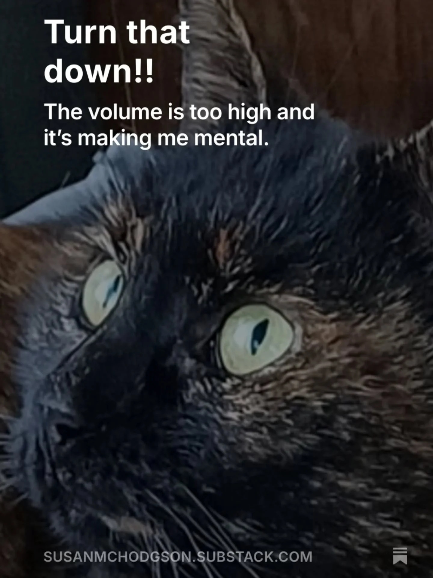 The world feels relentlessly loud, and yet I&rsquo;m compulsively drawn to read about the wars, killing, climate disasters, outrage, cruelty, and heartbreak on loop. I know I&rsquo;m not the only one on high alert because the soul-less and evil shoul