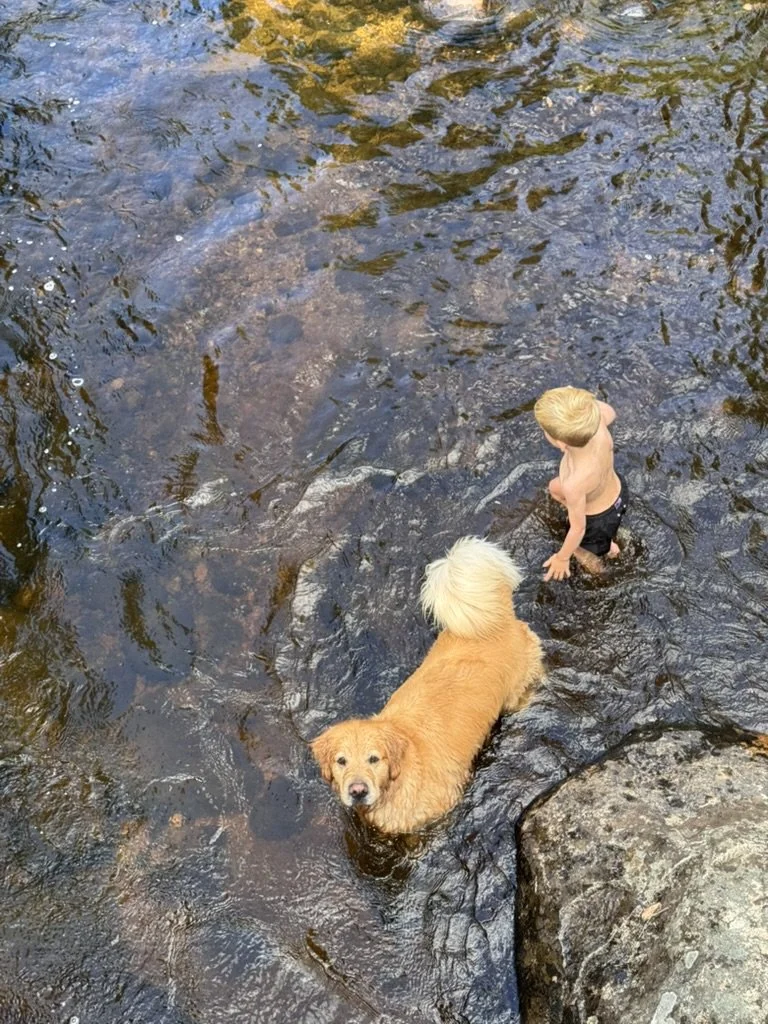 Two ways down the trail