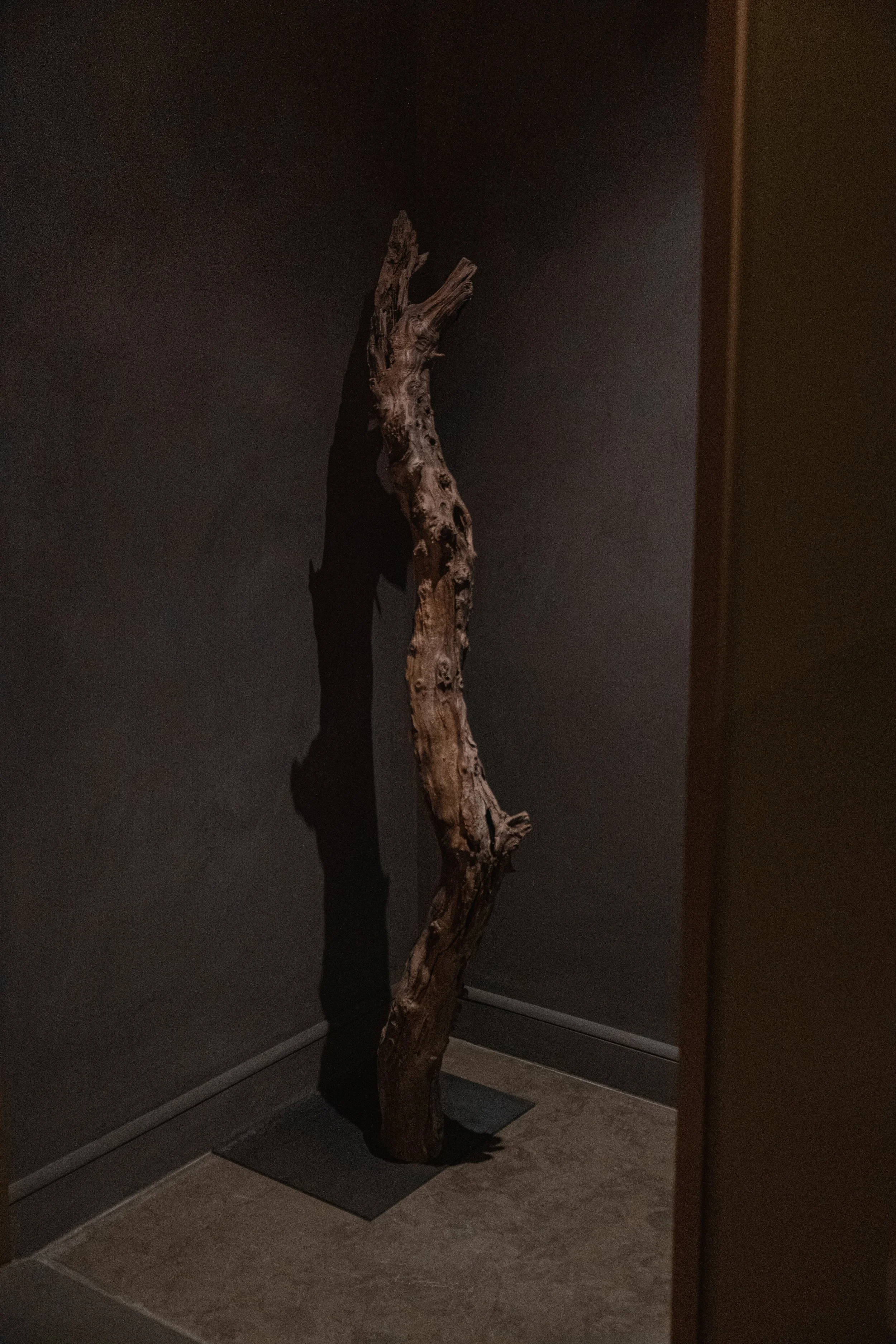 DSCF5454.jpg