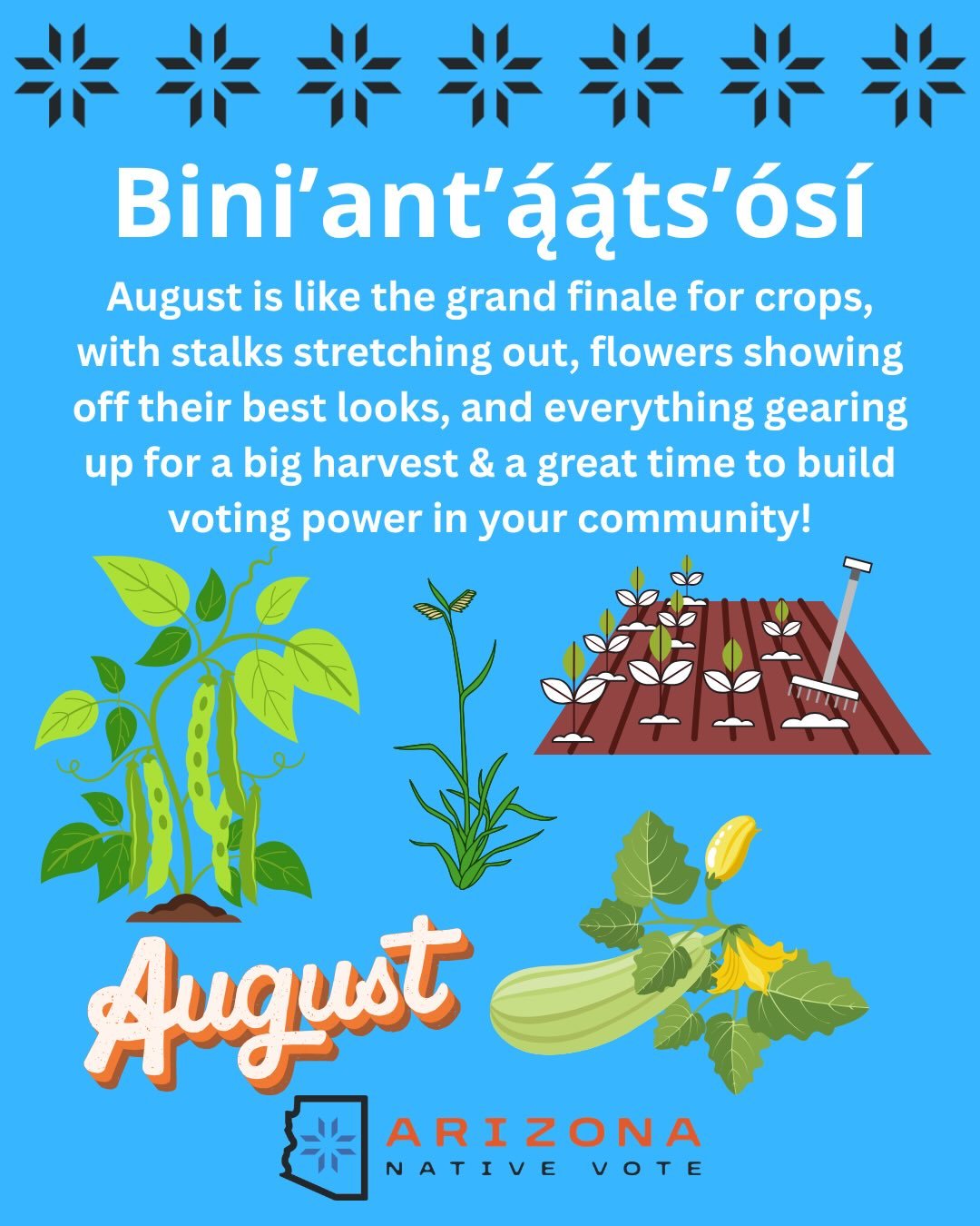 Get ready for the big harvest! 🌱🌽🫘🍉🥕🍈🫜
#nativevote