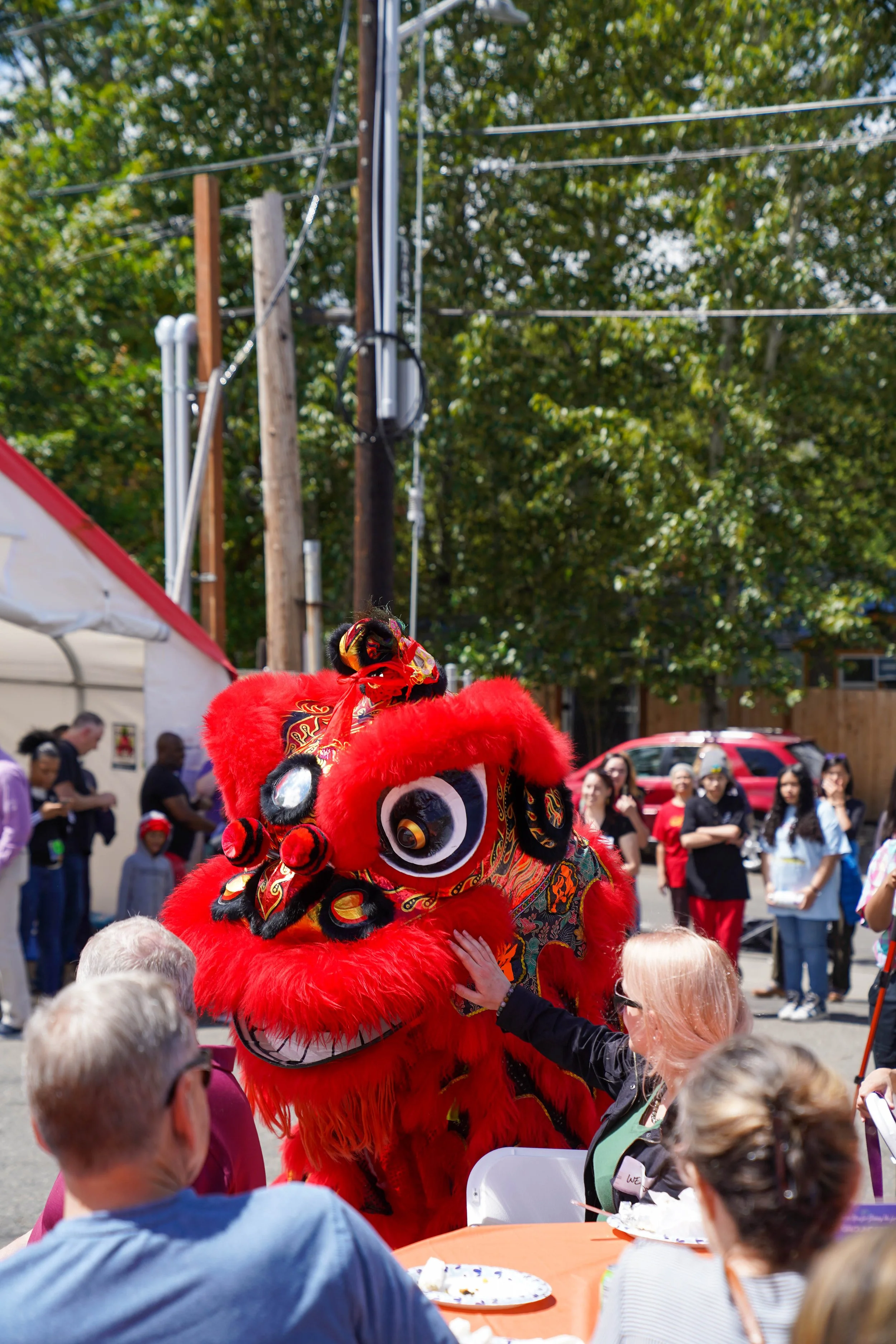 DSC00443.jpg