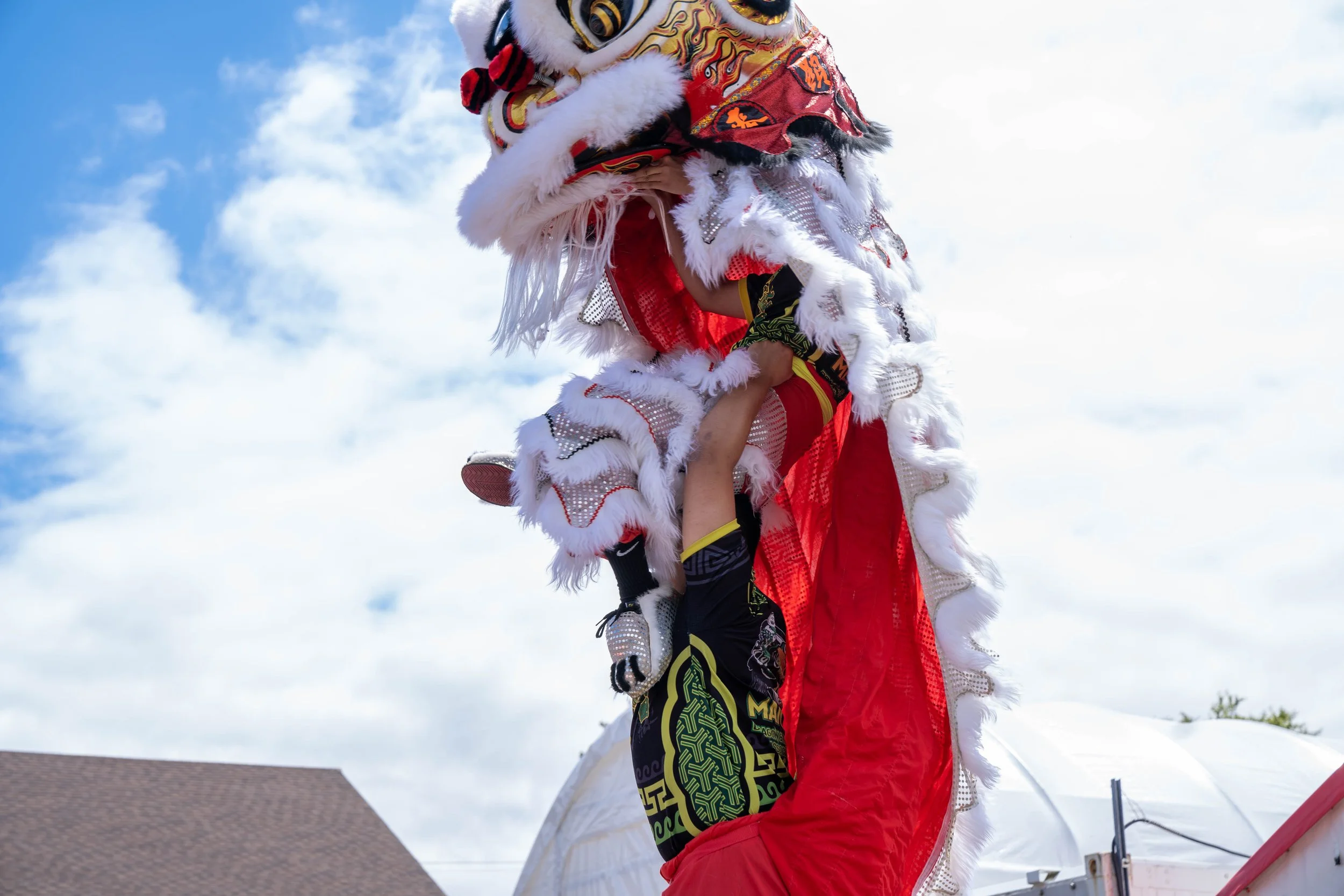 DSC00562.jpg