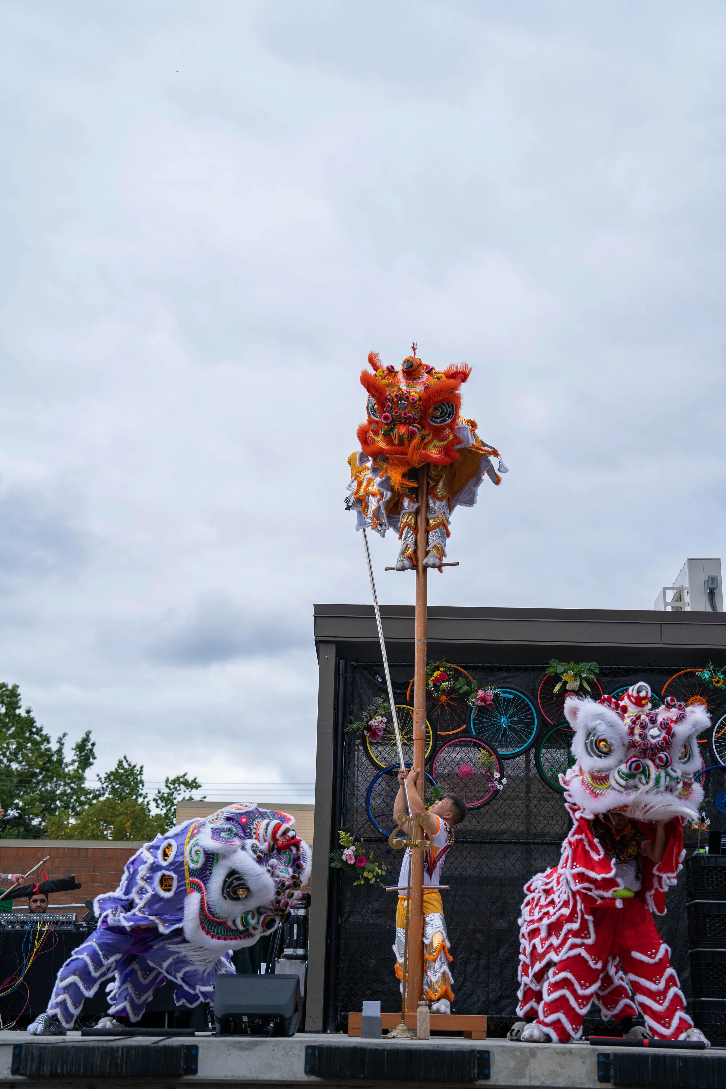 DSC03196.jpg