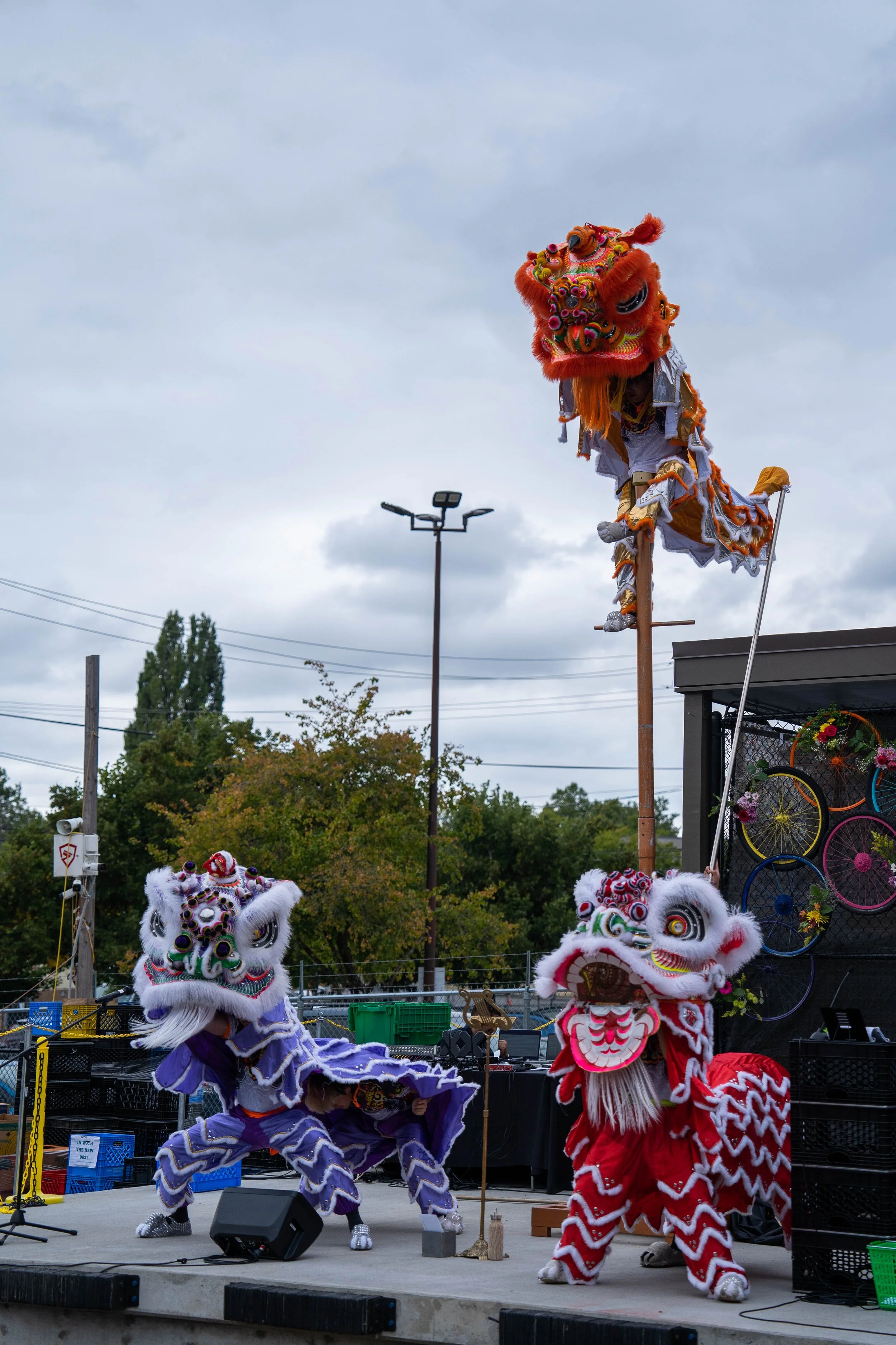 DSC03245.jpg
