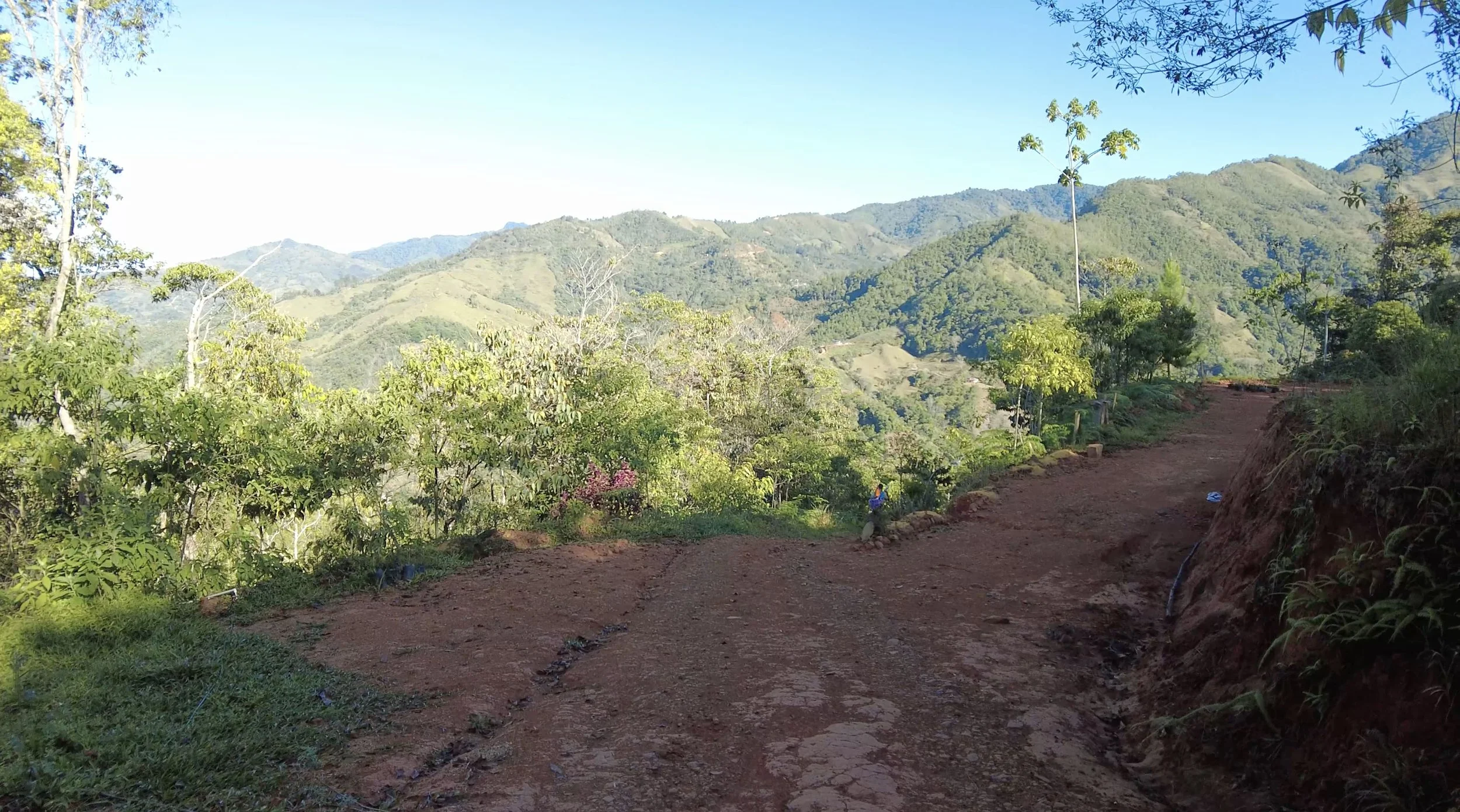 TRAIL PHOTO CHIRRUPO ABUNDANT WORLD ACTIONS.jpg