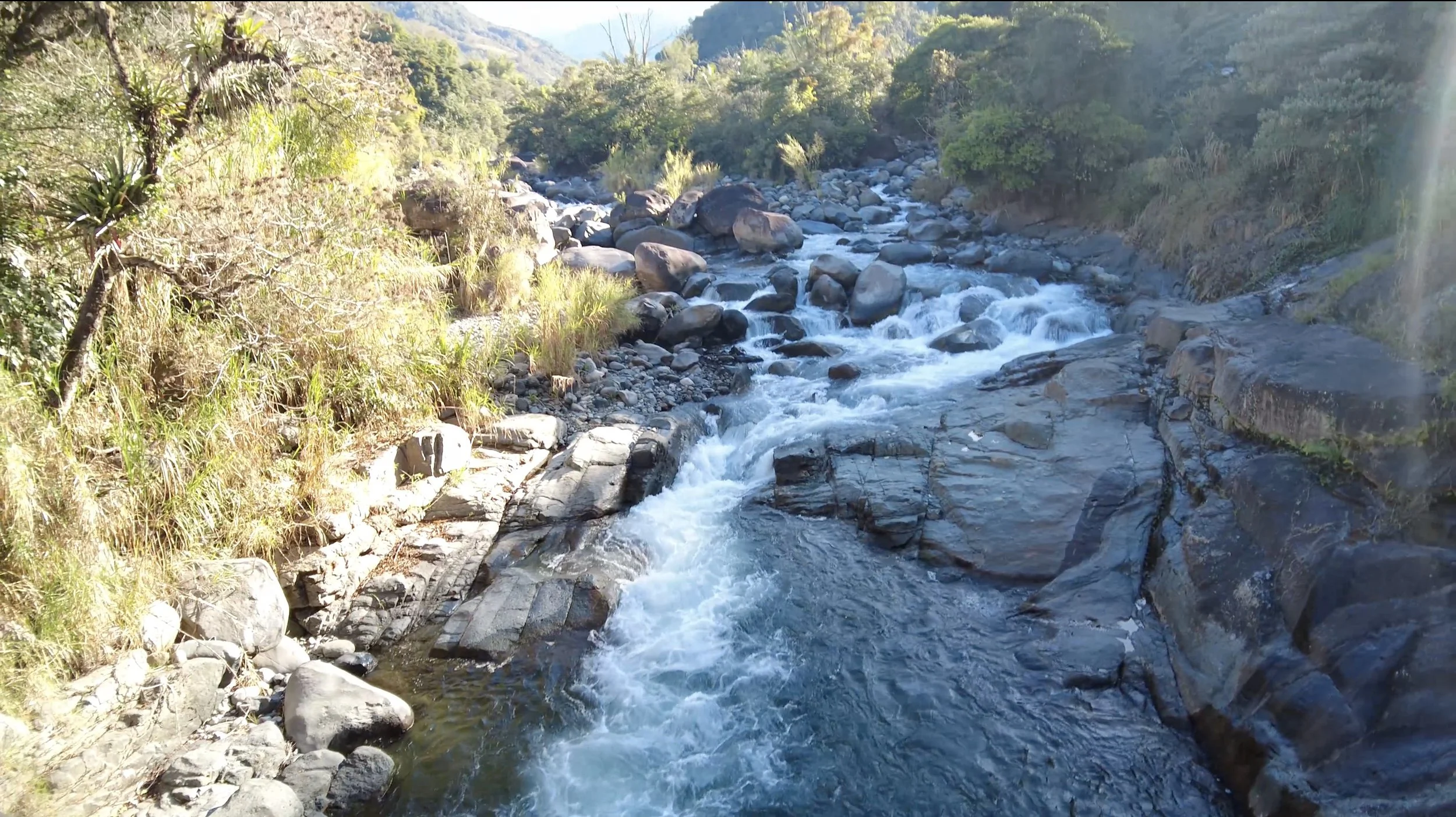 RIVER CHIRRIPO AWA FORESTS.jpg
