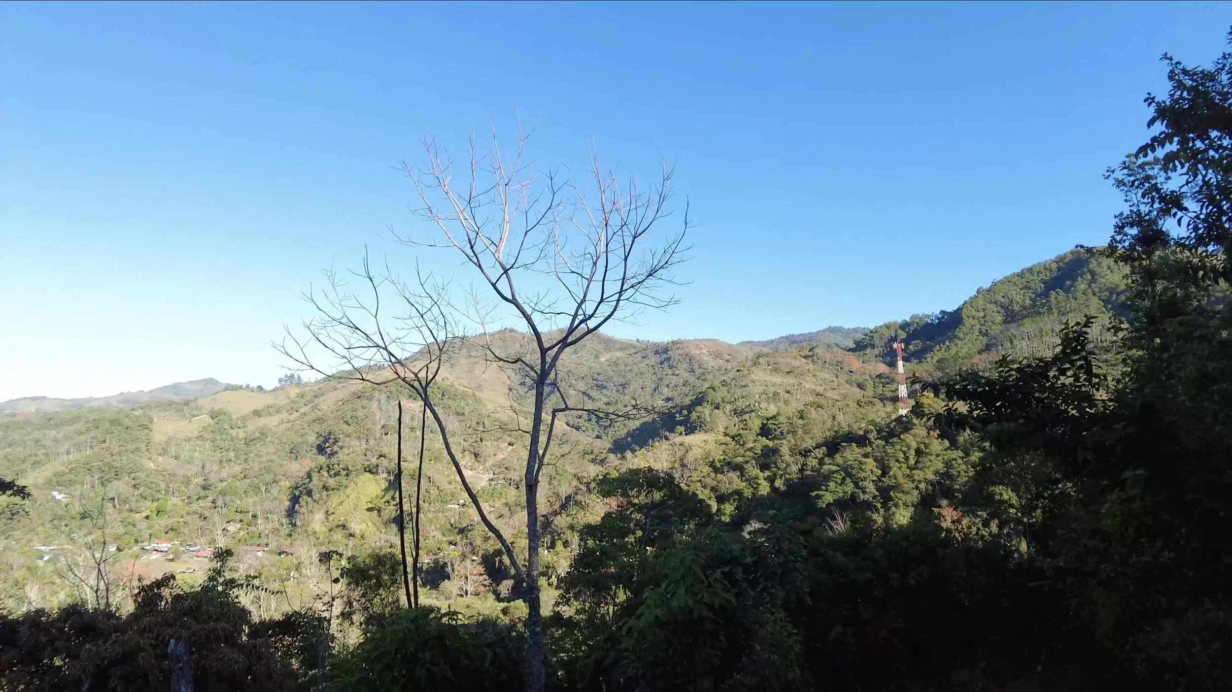 MONTAIN ABUNDANT WORLD ACTIONS FORESTS CHIRRIPO.jpg