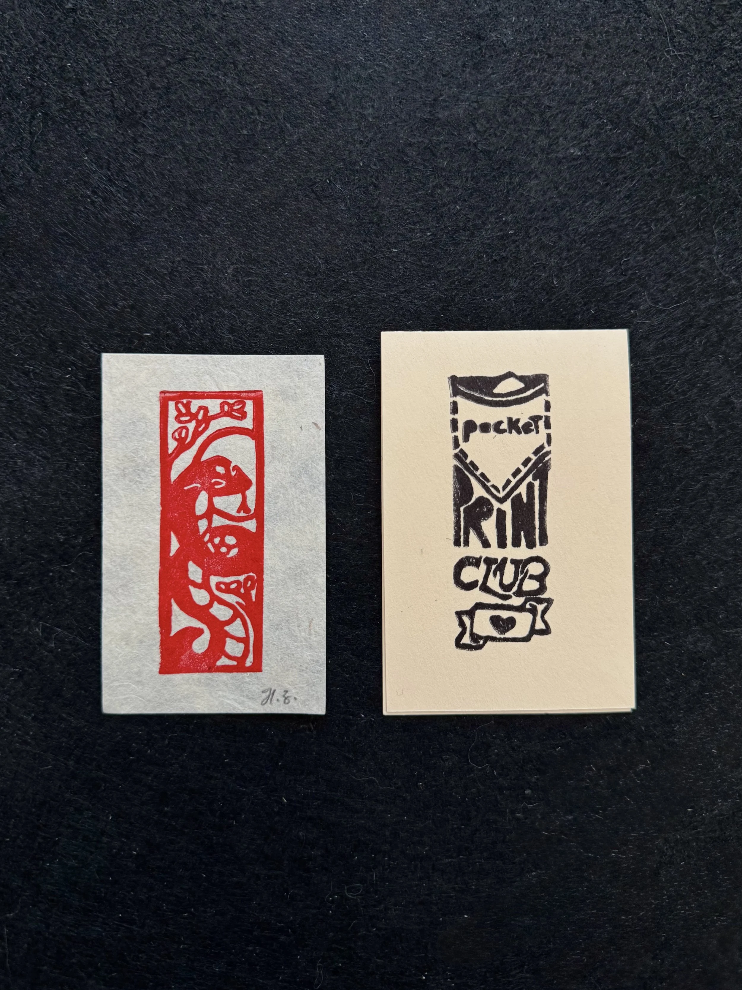 Lucky Snake Pocket Print