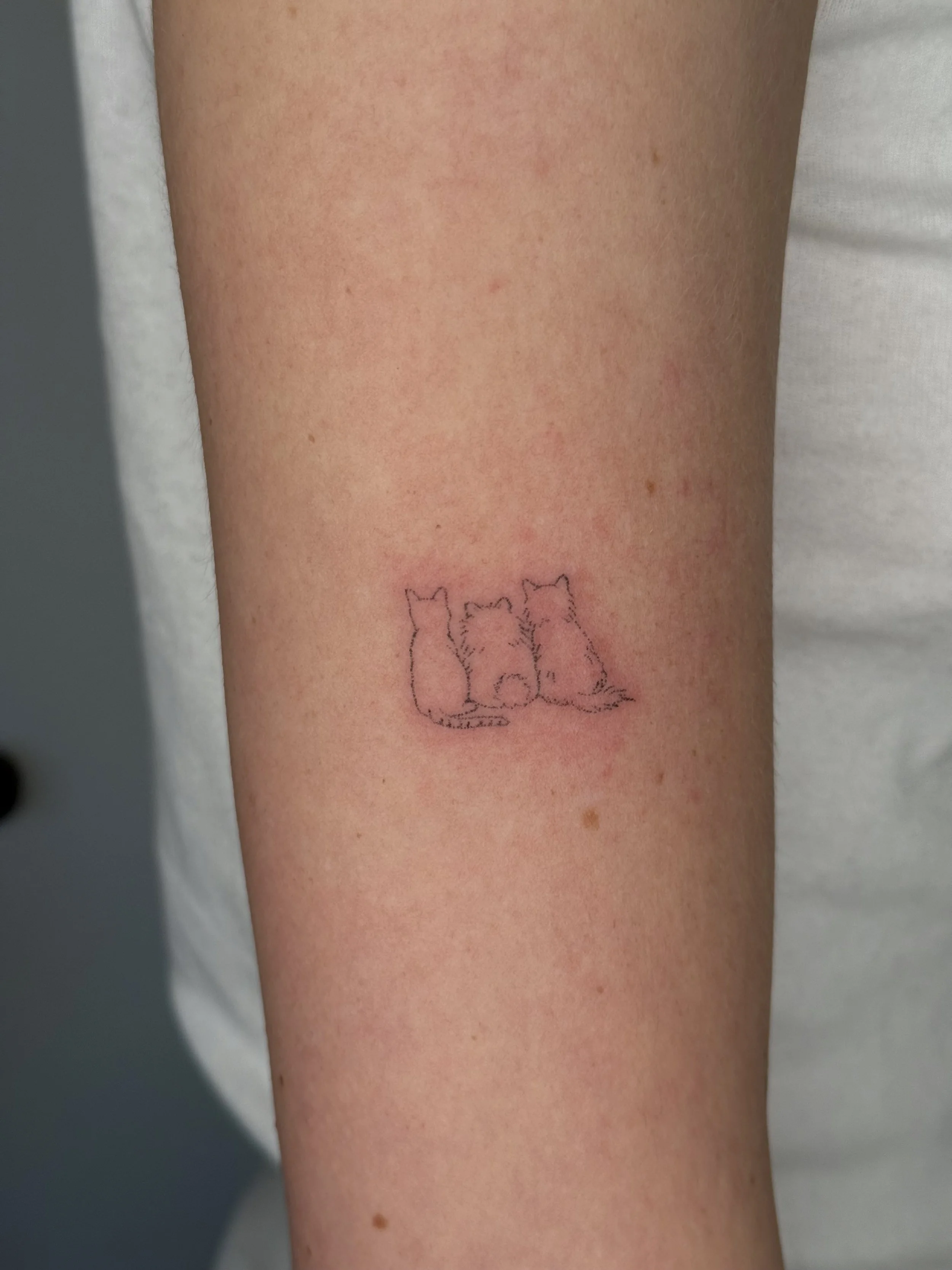 Close-up of a person's arm with a small tattoo of three foxes in outline style.