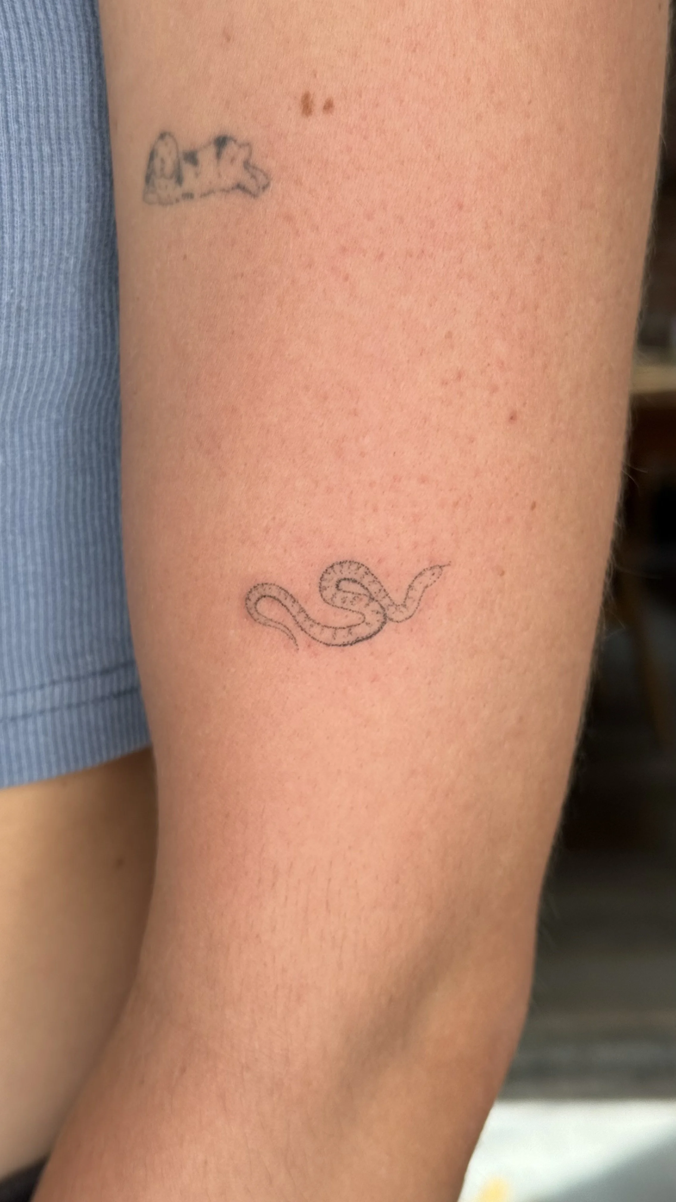 Close-up of a person's arm with two small tattoos: one of a snake and one of an irregularly shaped dot or mark, with a background of skin and a blue shirt sleeve.