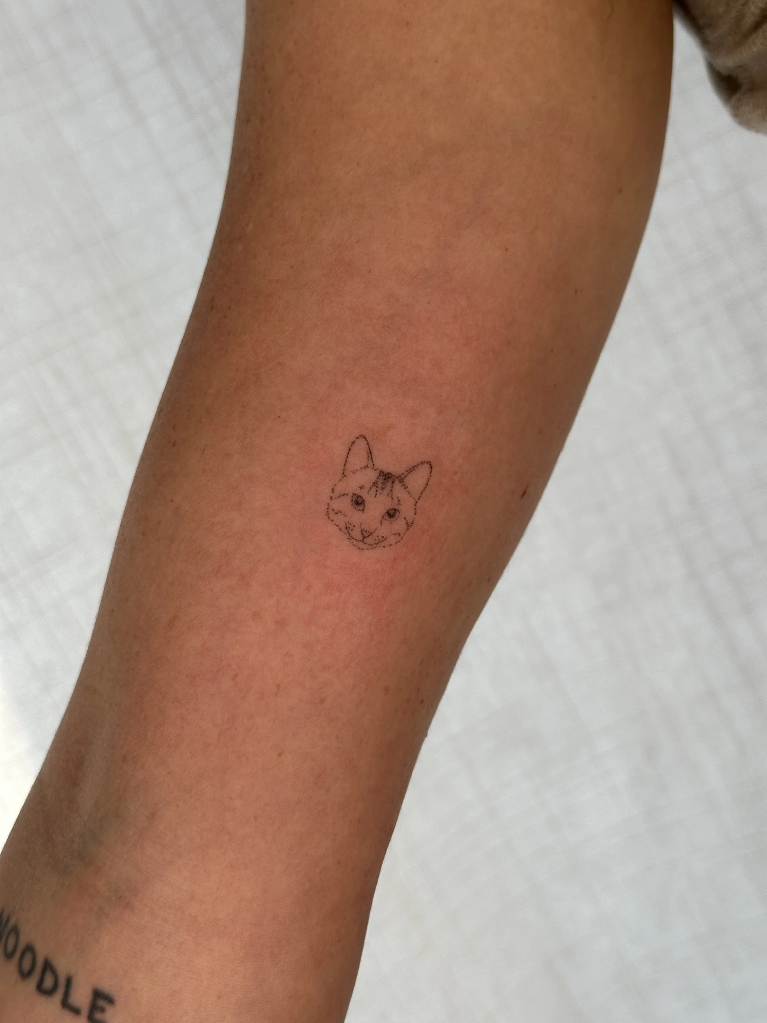 A person's arm with a small, simple line drawing of a cat's face tattooed on the inner forearm, and a partial tattoo of the word 'LOOPDLE' at the wrist.