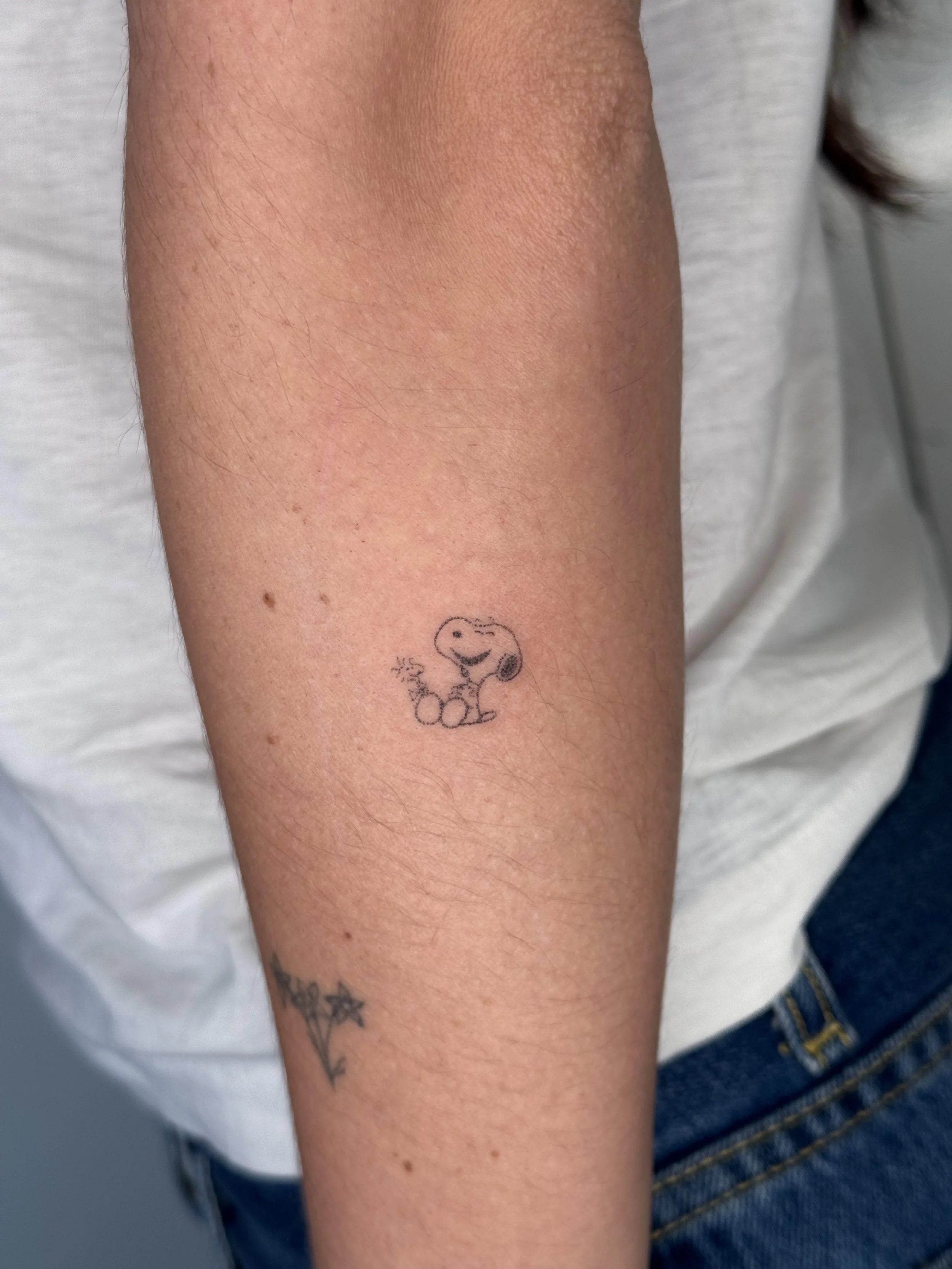 A close-up of a person's arm with three small tattoos: a smiling cartoon dinosaur, a star, and a flower.