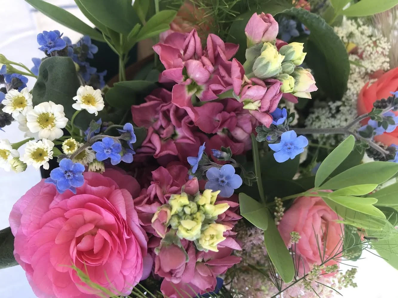 Spring flower CSA woodsock ny