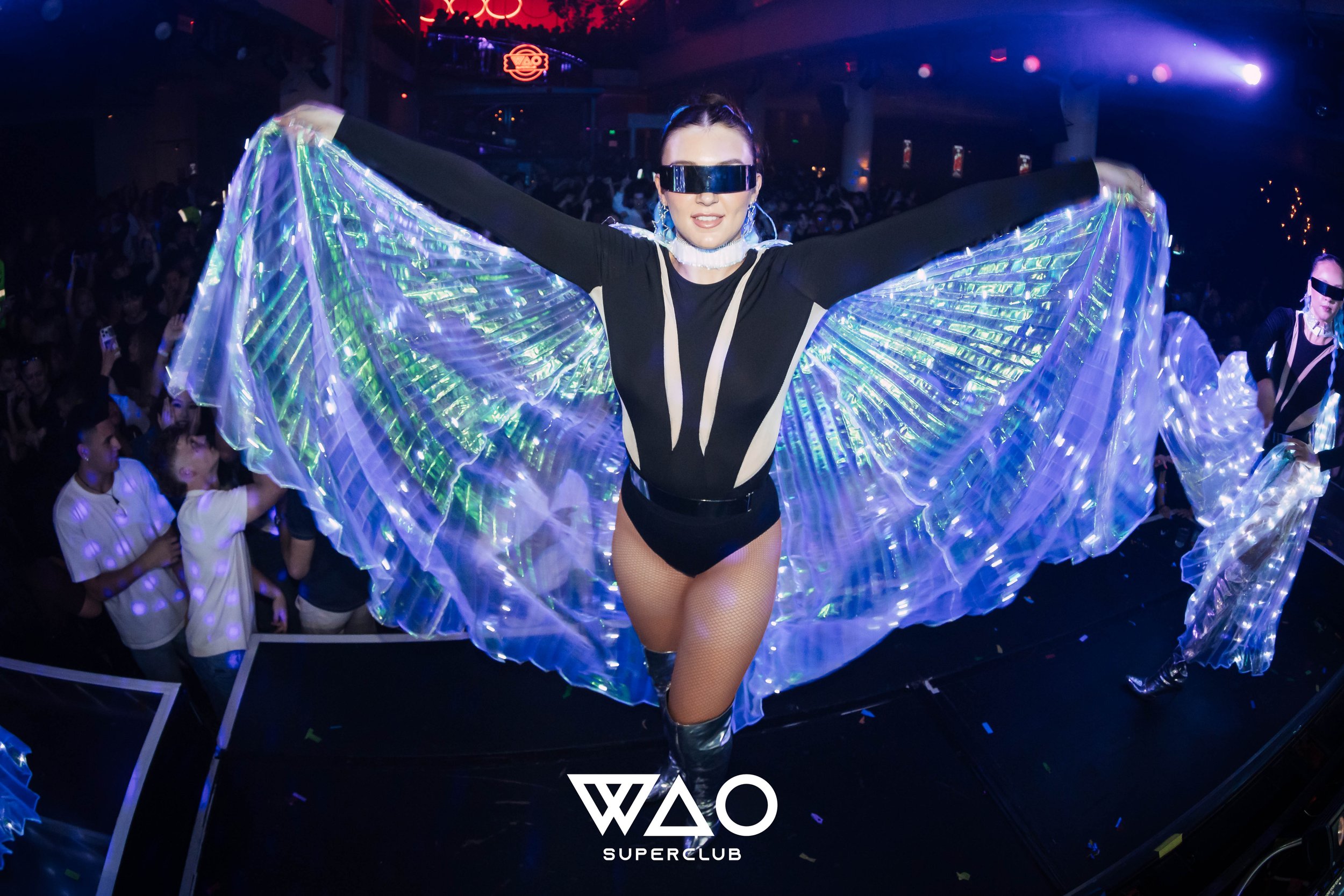 Wao - 21.02.25-98.JPG