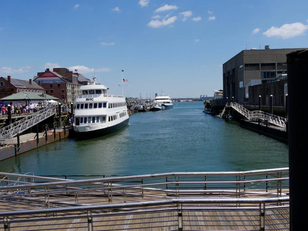 P1010436 8-16-2017.jpeg