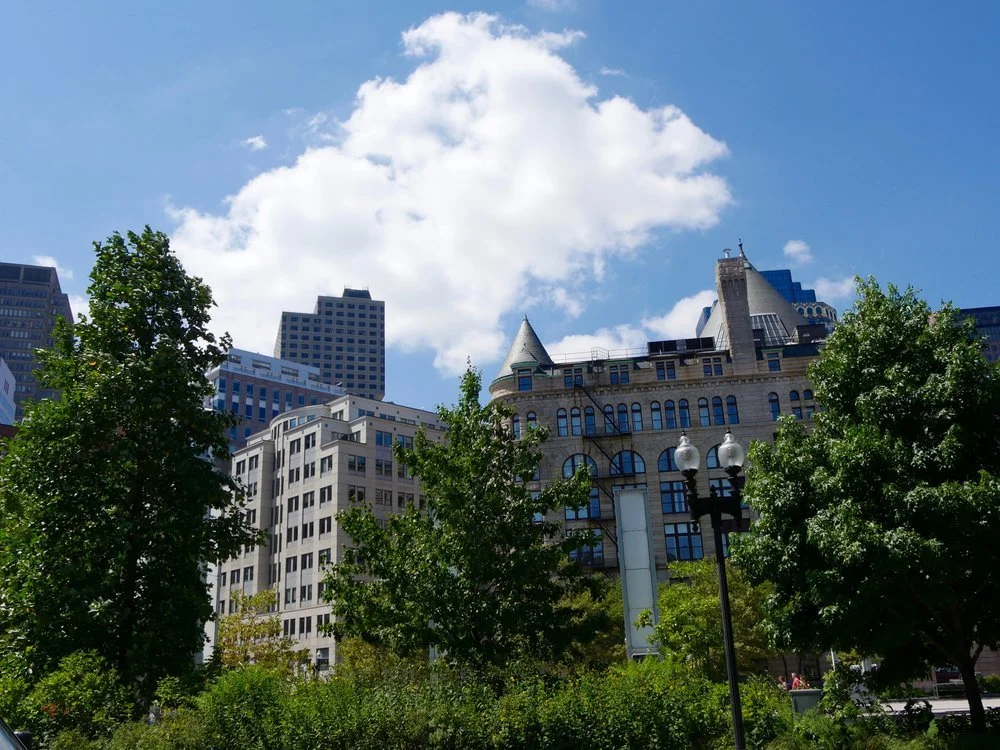 P1010429 8-16-2017.jpeg