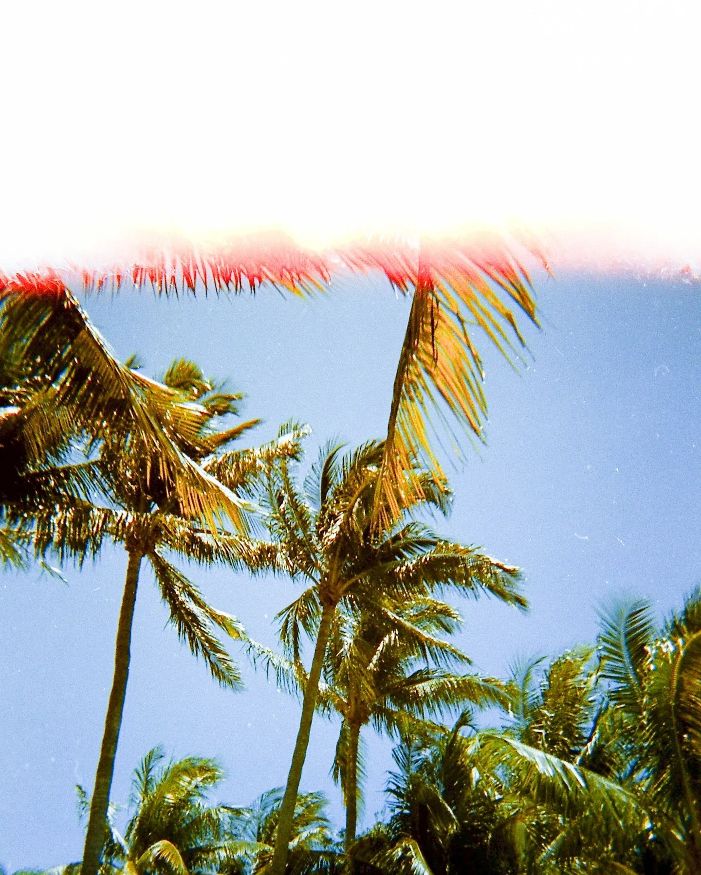 Key West on #35mm 📸

Circa 2023