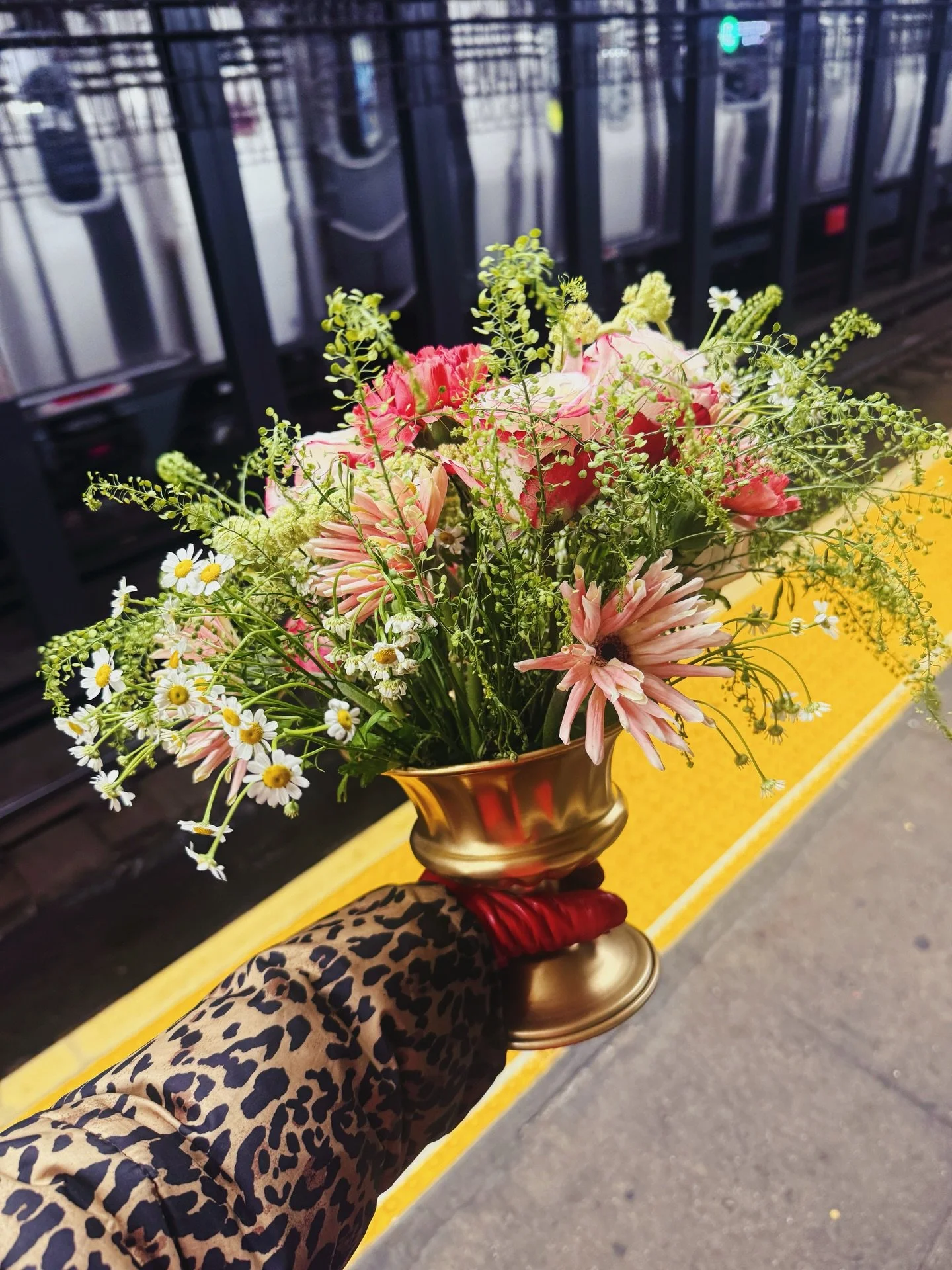 Fab Feb 🌹🏹❤️