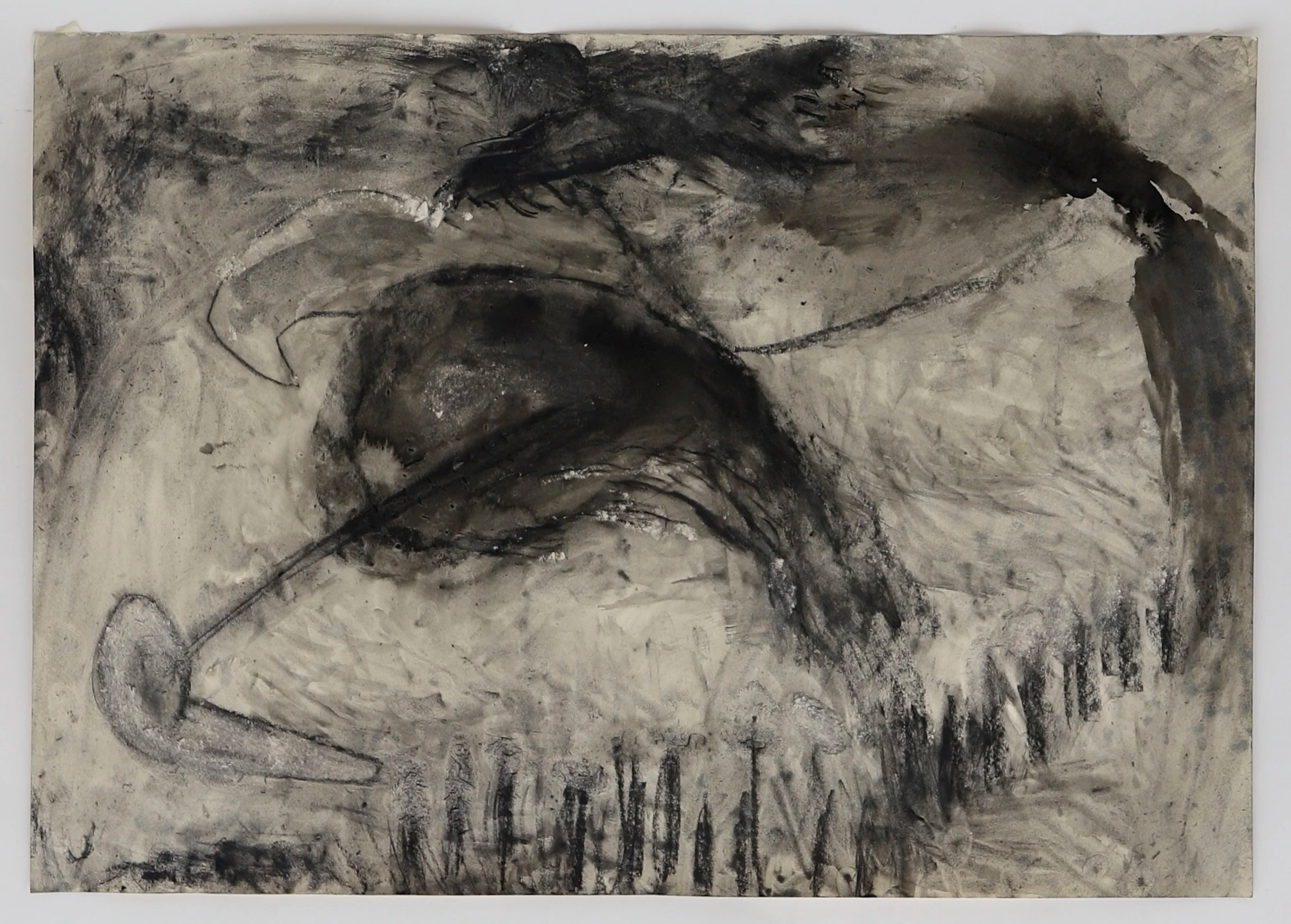 Black Storm, 2026

- Charcoal and ink on paper
- 16.5 x 23.5 in. (41.91 x 59.69 cm.)