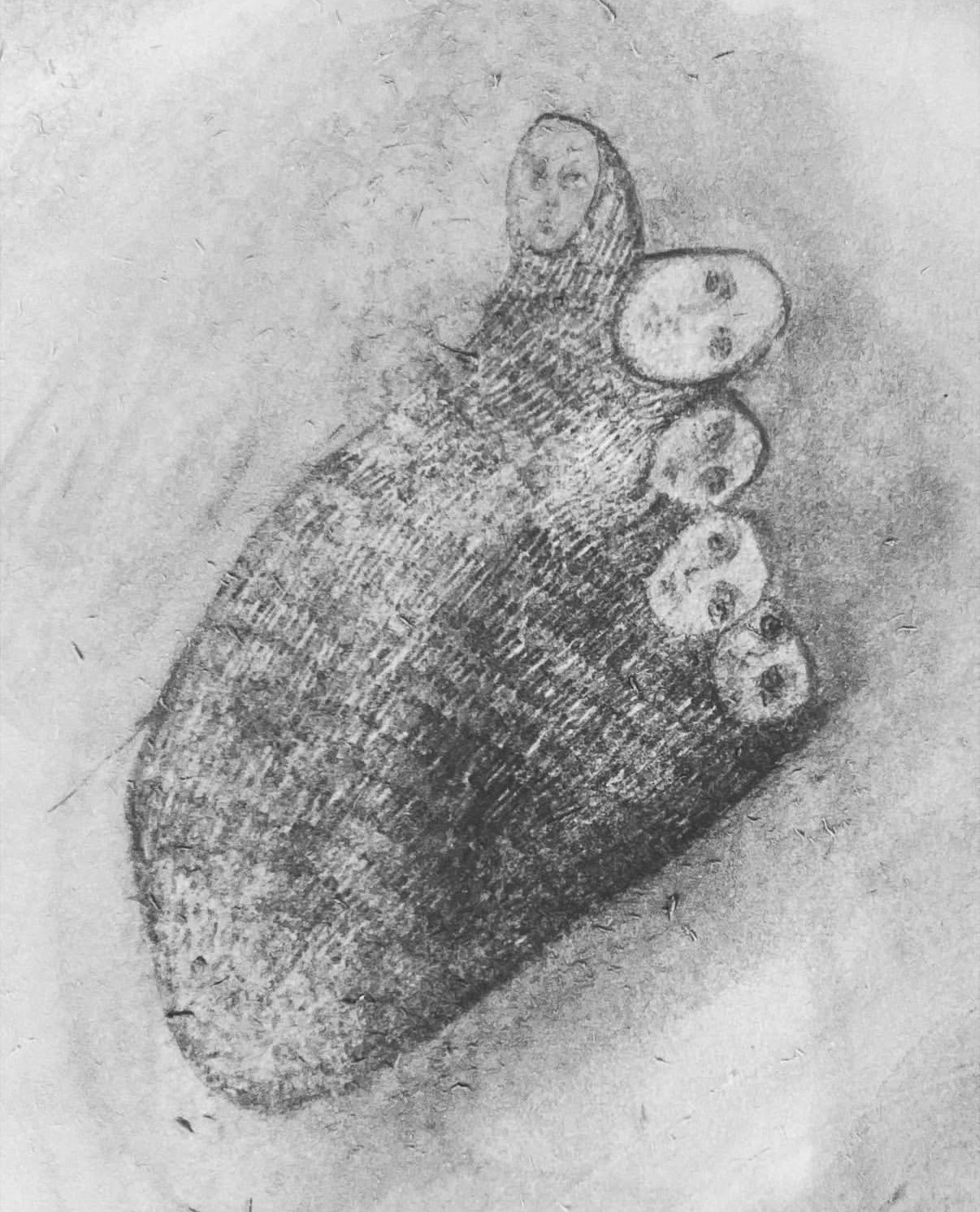 Heart Drawing I, 2024

- Graphite on paper
- 11 x 14 in. (27.94 x 35.56 cm.)