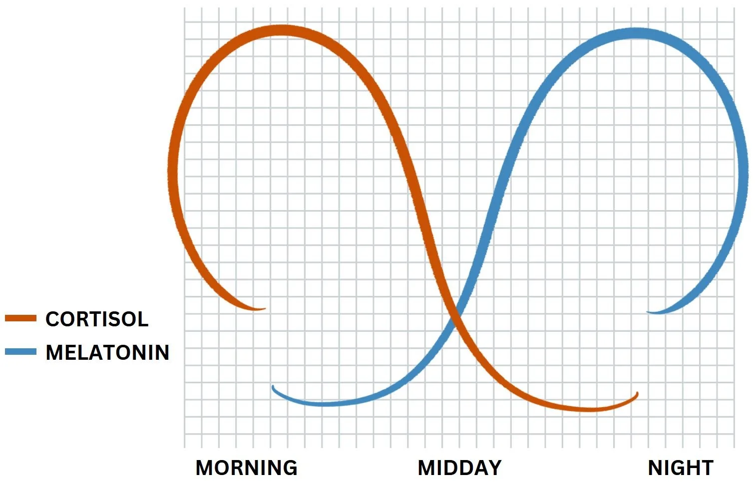 Graph showing cortisol and melatonin curves