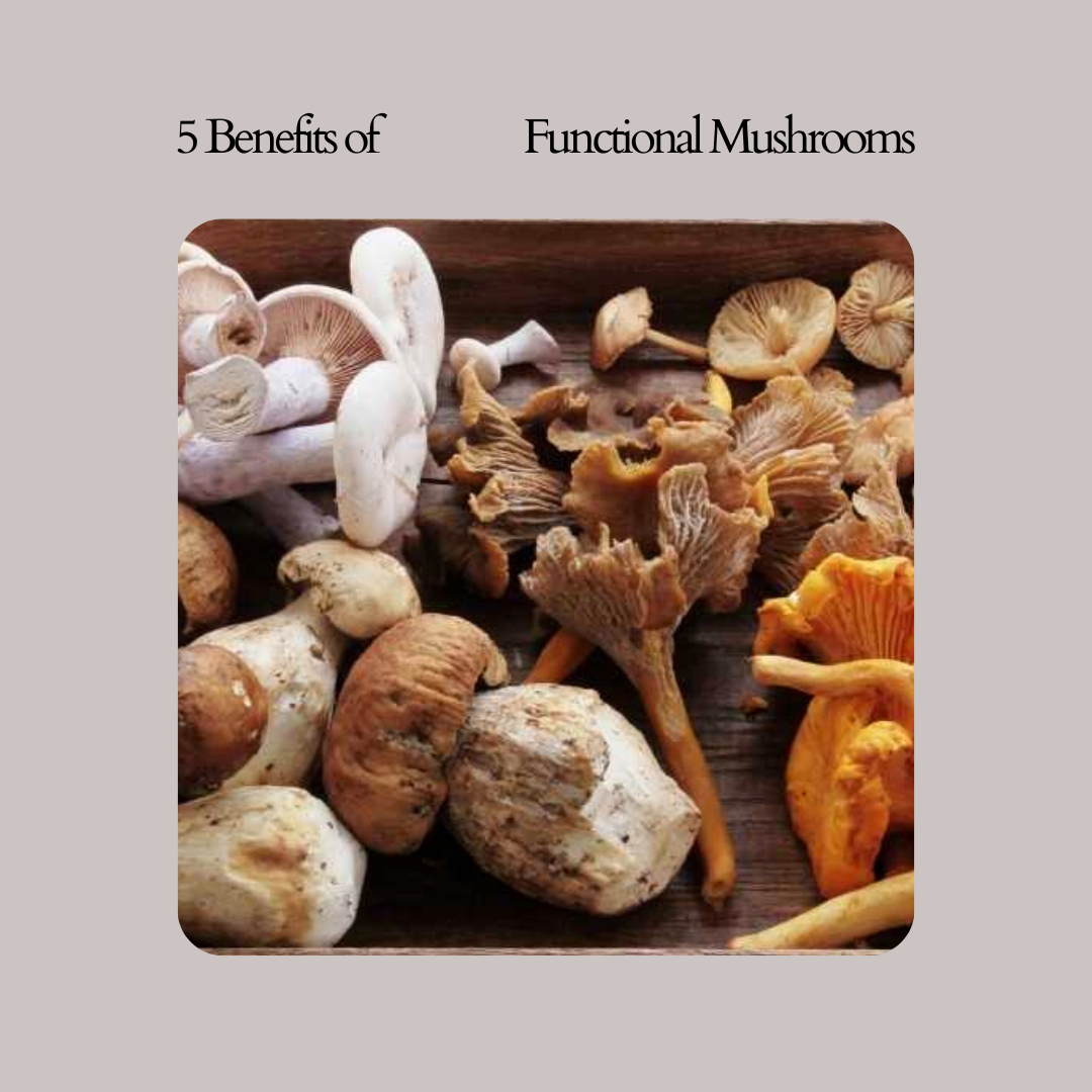 5 Benefits of Functional Mushrooms That You Need To Know
