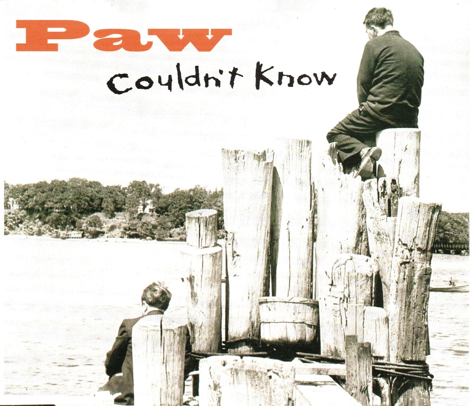 Couldn't Know Single (1993)