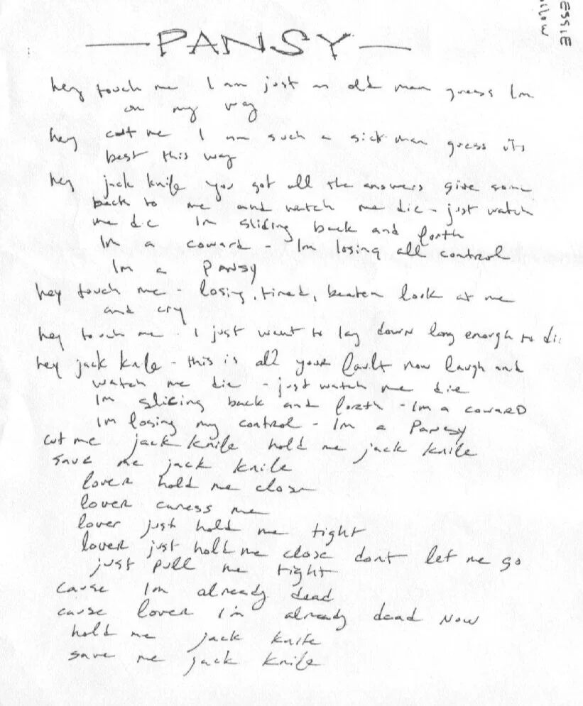 Handwritten Lyrics: Pansy
