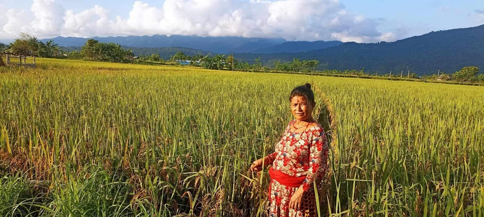 JPEG image-4365-9294-56-0.JPEG