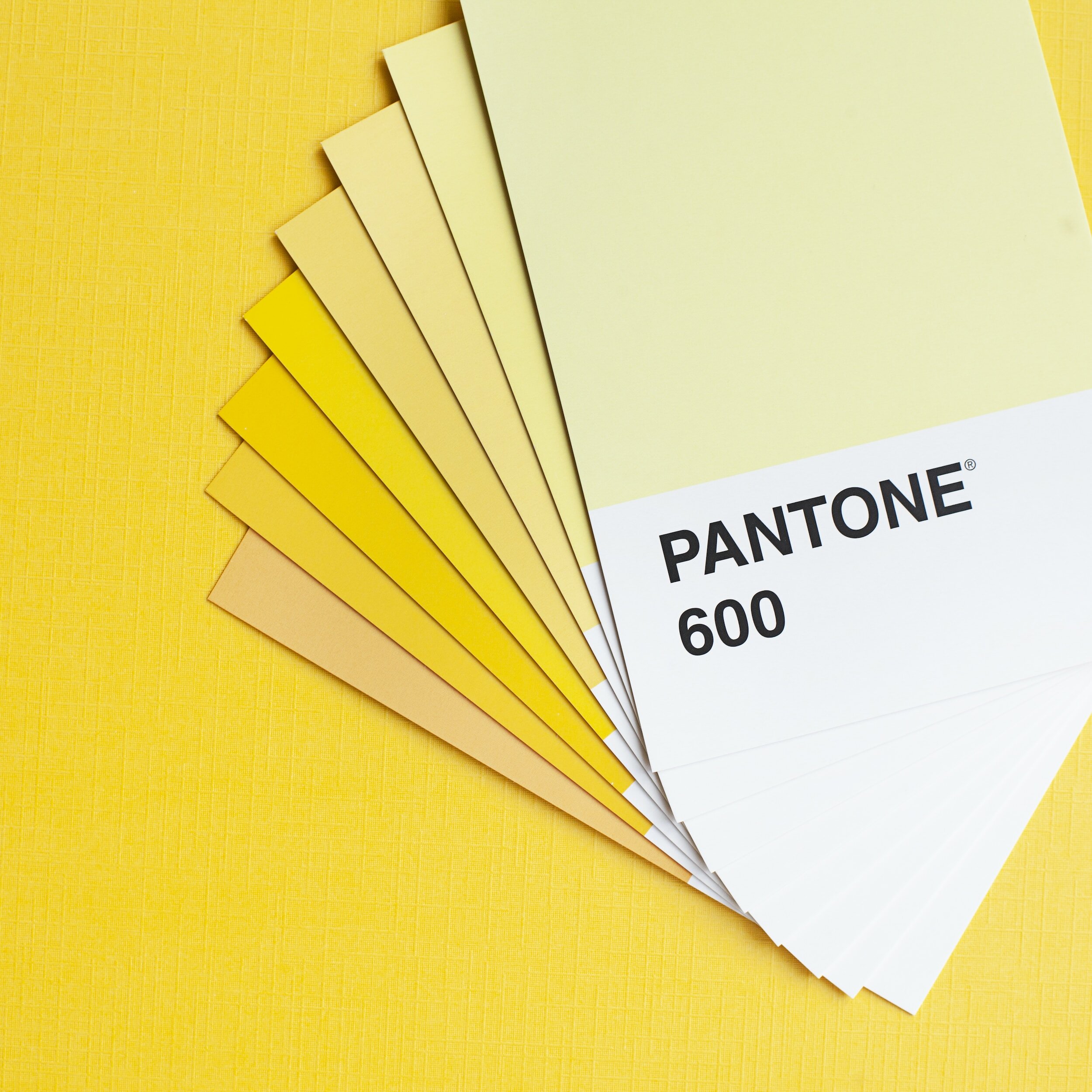 The importance of Pantone colour codes for your brand.