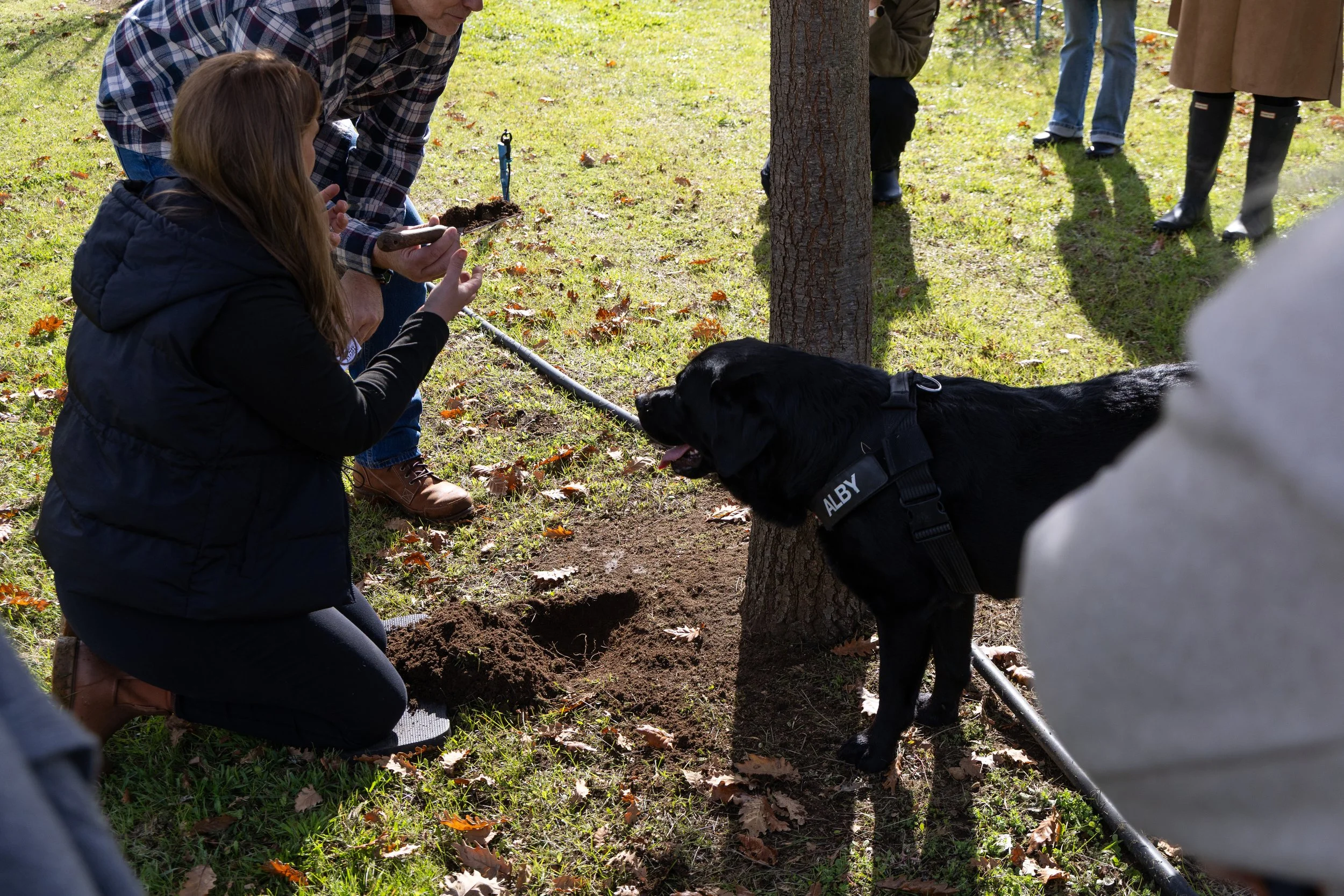 hunt and lunch iii-44.jpg