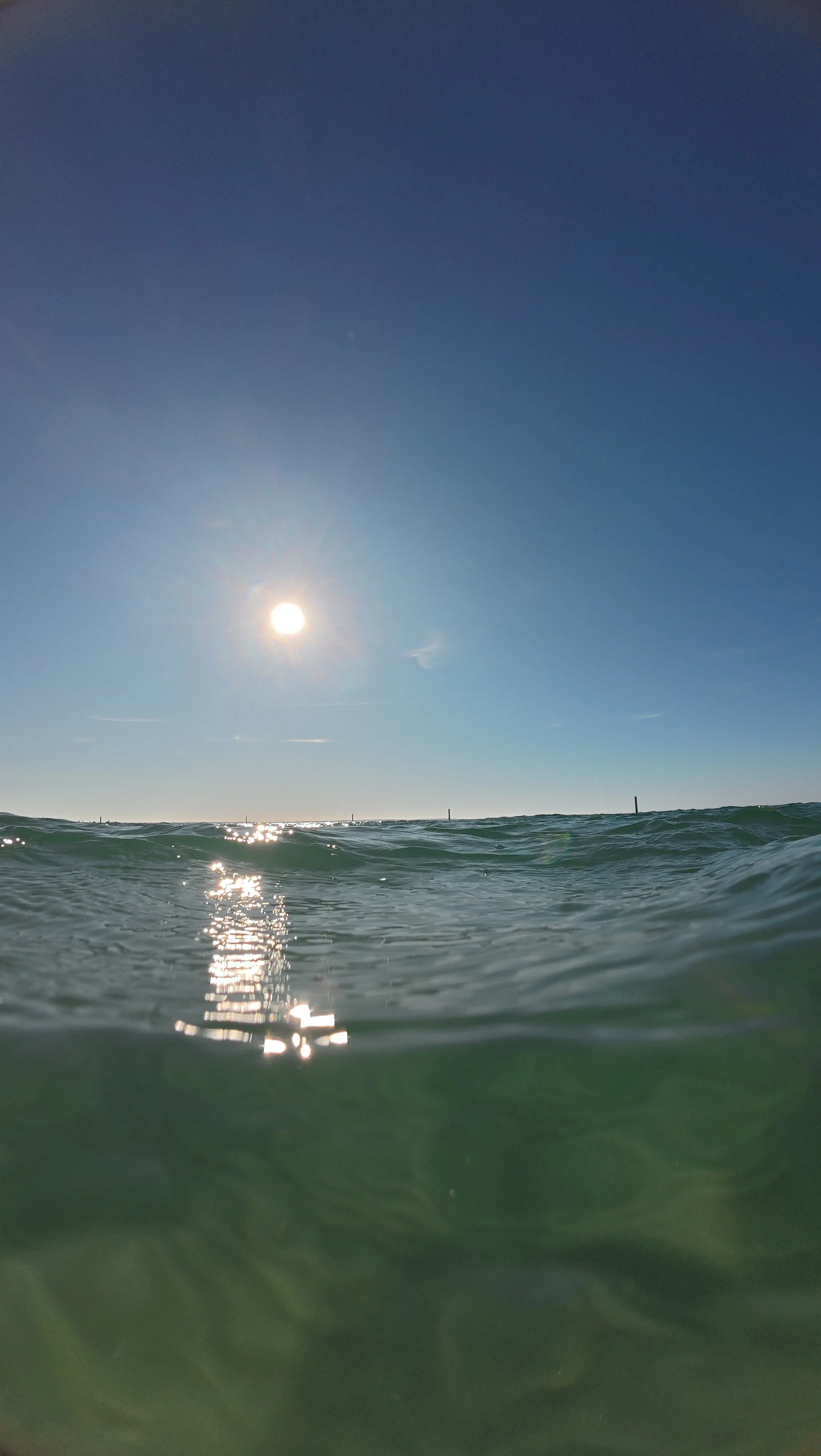 DJI_20241031012924_0066_D_026.JPG