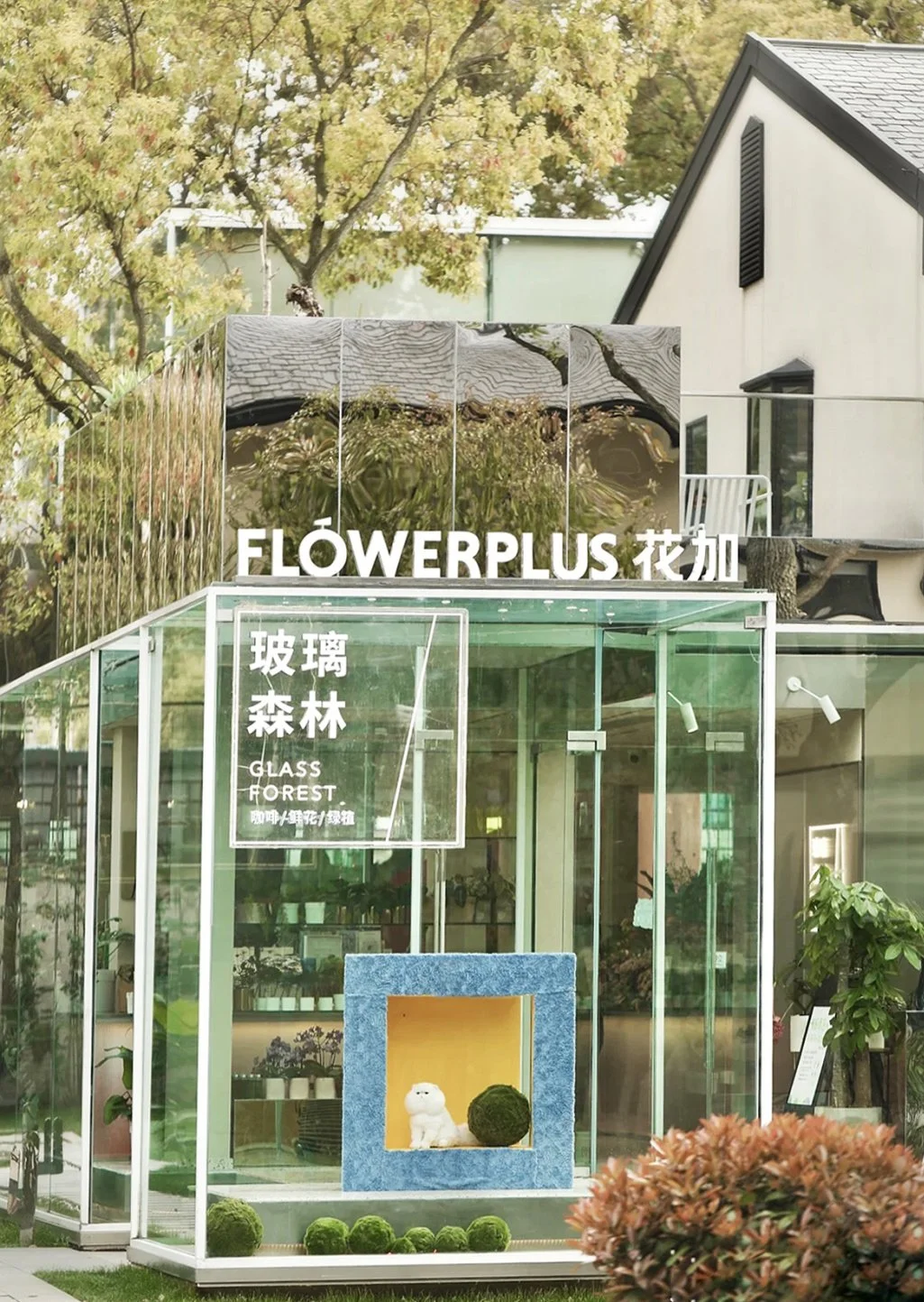 花加玻璃森林 | 柠檬探店