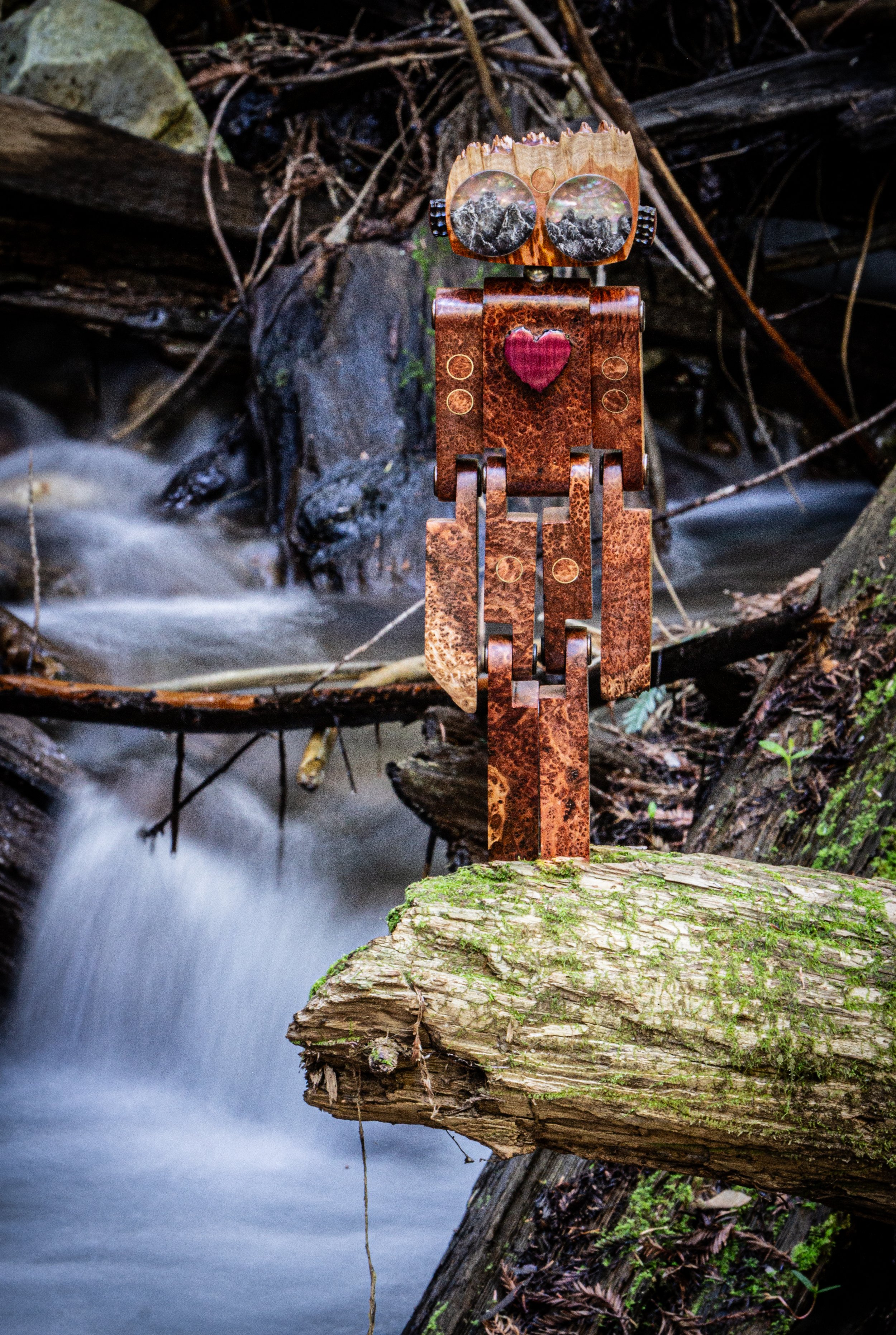 StickerLauris Nobilis-5.jpeg