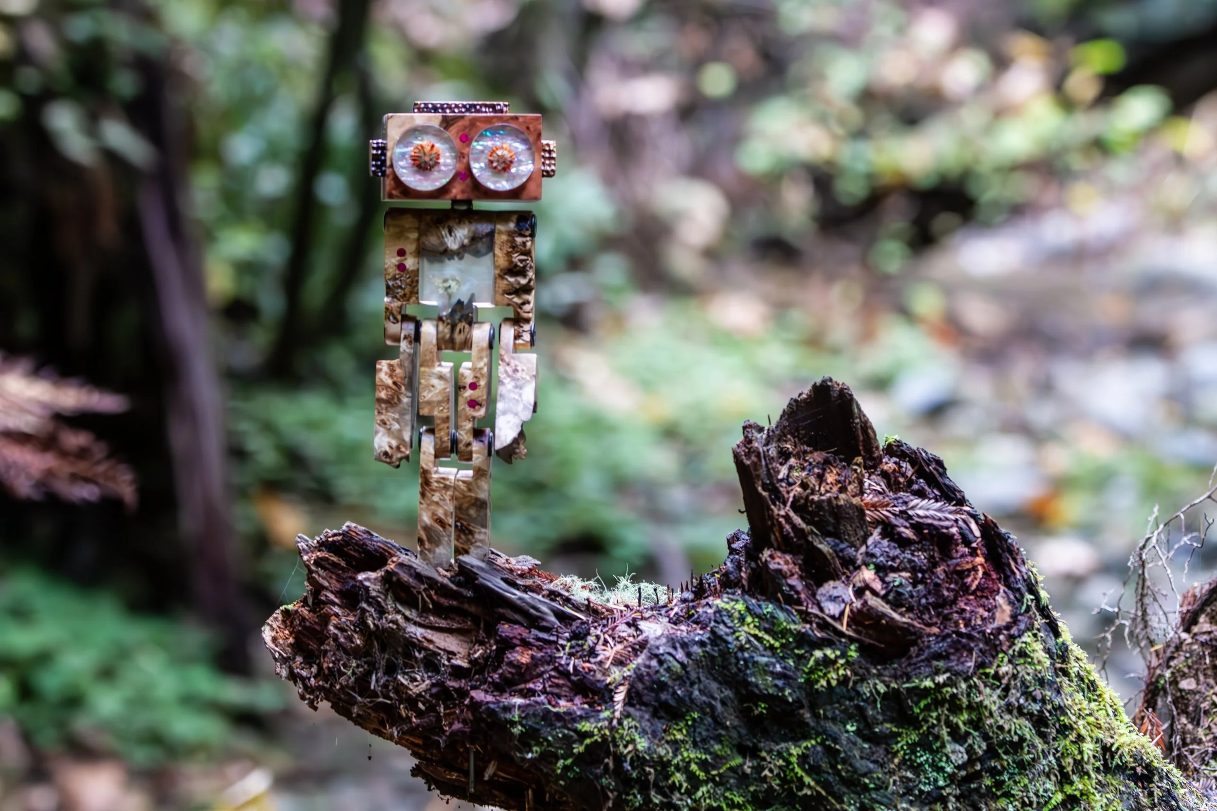 StickerLauris Nobilis-27.jpg